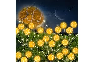 Fankutoys Solar Lights, Your No-hassle Pathway to Outdoor Illumination