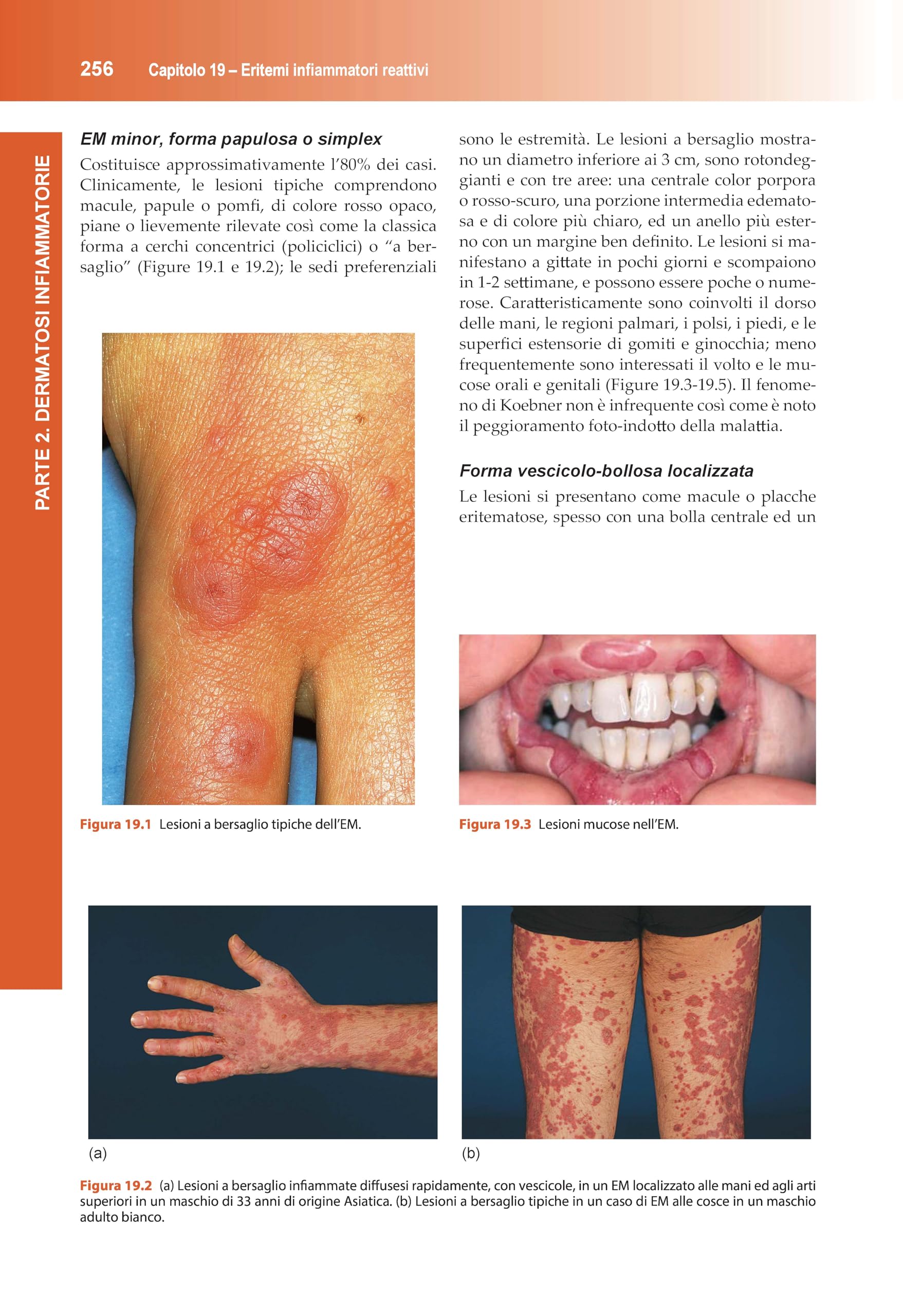 Manuale di dermatologia di Rook