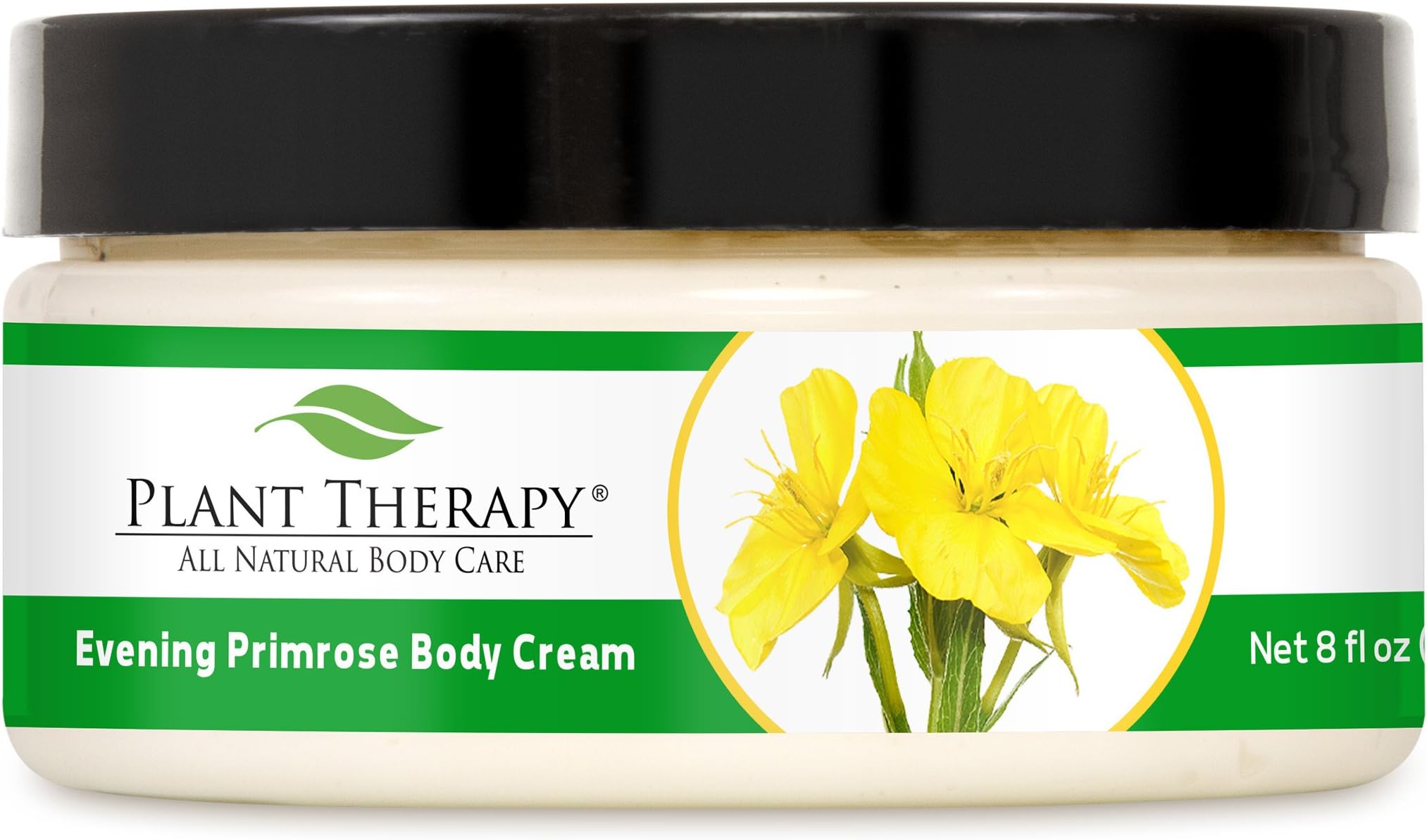 Plant Therapy Evening Primrose Body Cream 8 oz Aromatherapy All Natural Unscented Base