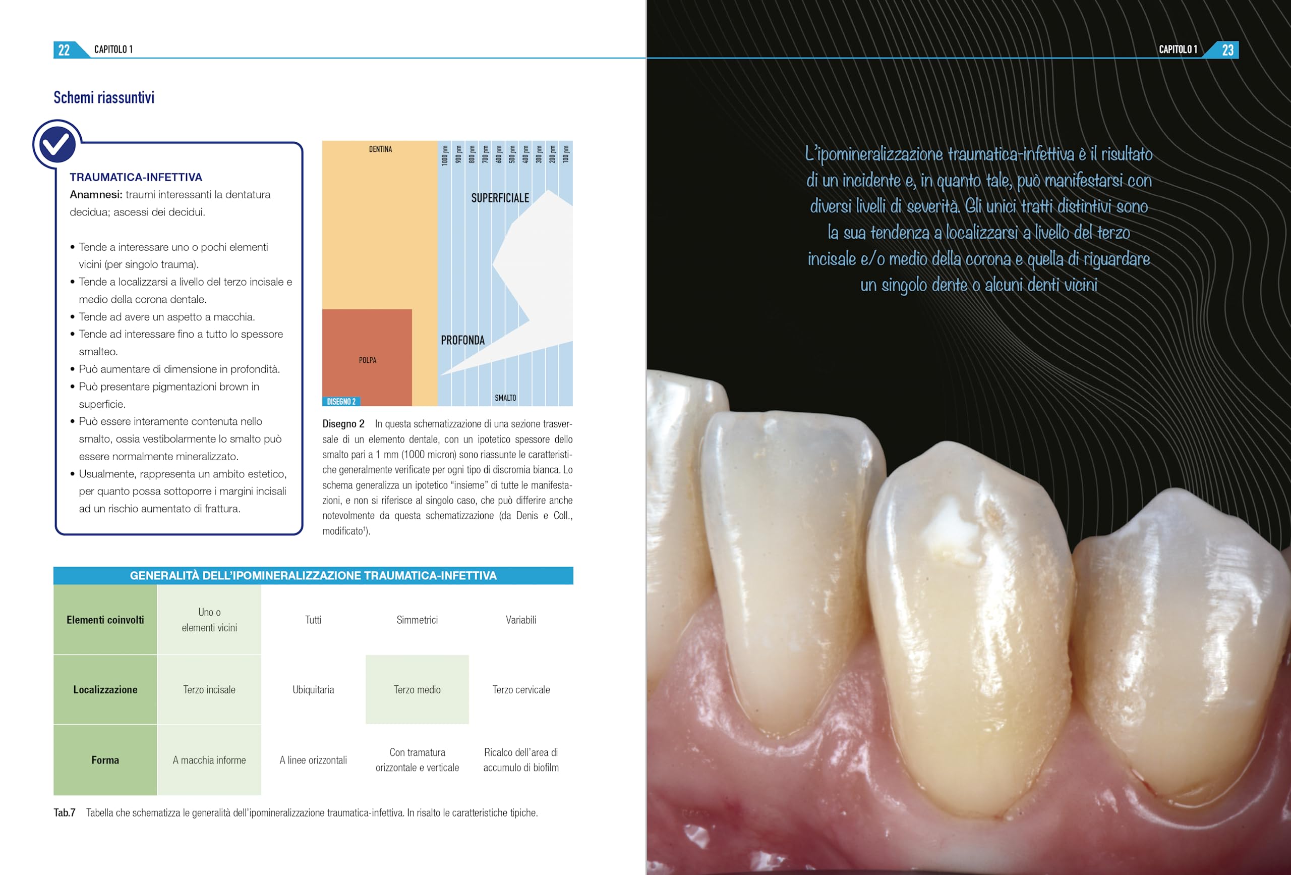 Diagnosi e trattamento delle lesioni bianche in area estetica. Manuale clinico operativo