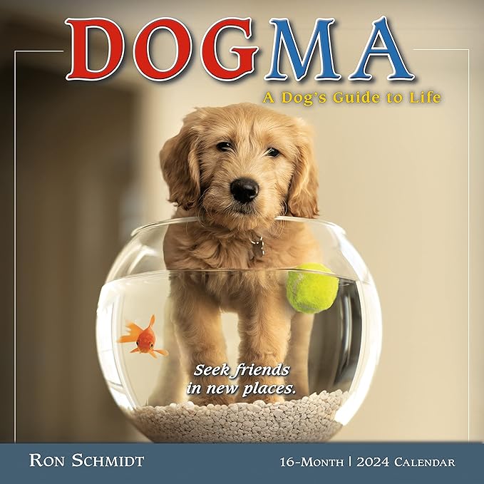 Dogma 2024 Wall Calendar: A Dog’s Guide to Life by Ron Schmidt, 12" x Dogma 2024 Wall Calendar: A Dog’s Guide to Life by Ron Schmidt, 12" x