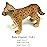 FUNSHOWCASE African Jungle Animals Baby Cheetah Cub Toy Figure Realistic Plastic Figurine Height 1.6-inch