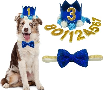 Cat Dog Birthday Crown Hat and Bow Tie Collar Set Pet Boy Birthday Party Supplies Dark Blue