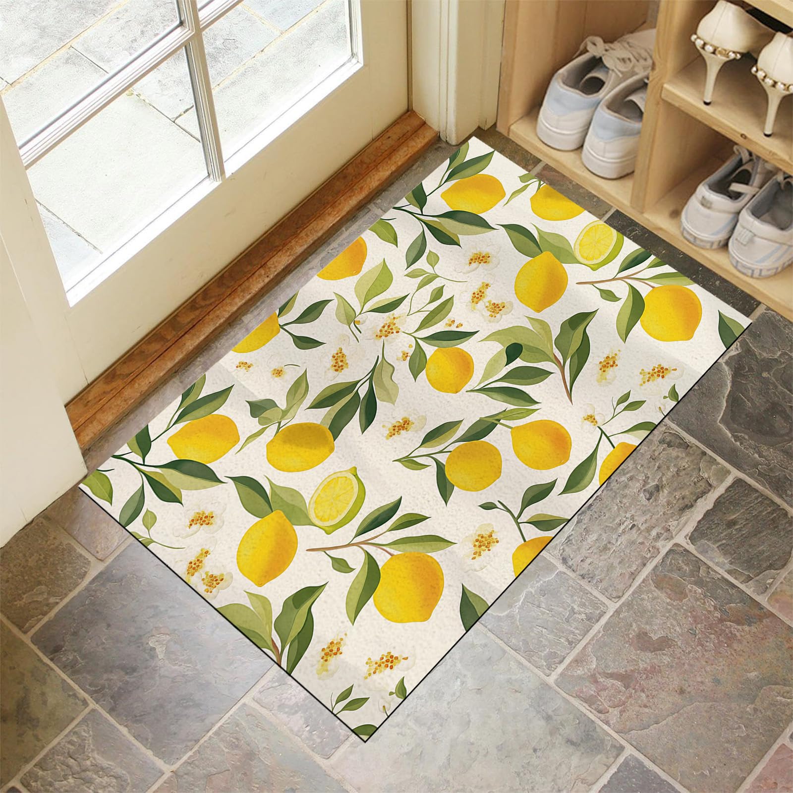 Paillasson attrape poussière super absorbant en microfibres lavable et tapis antidérapant 50x80