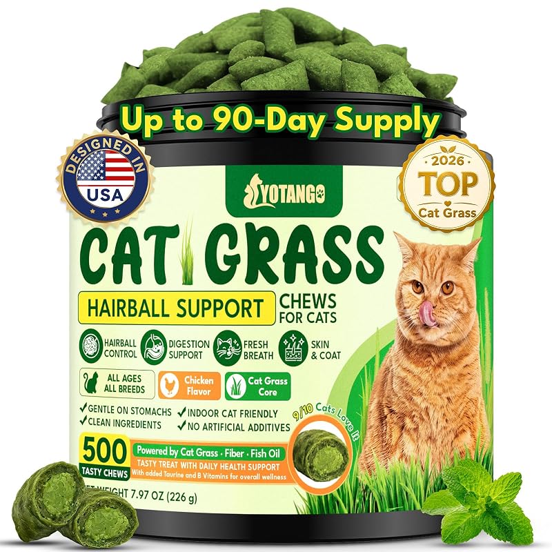 Petisco mastigável de grama para gatos com sabor de frango YOTANGO, 500 unidades