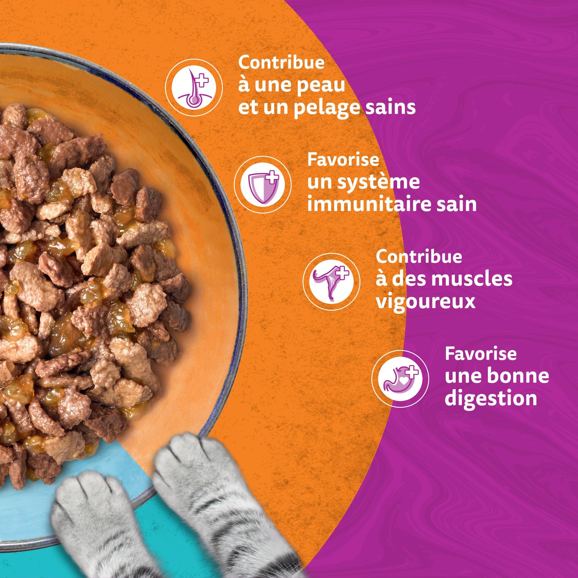 WHISKAS DUO Aliment humide en gelée pour chat adulte 12x85g Terre & Mer (Lot de 4) 48 Sachets