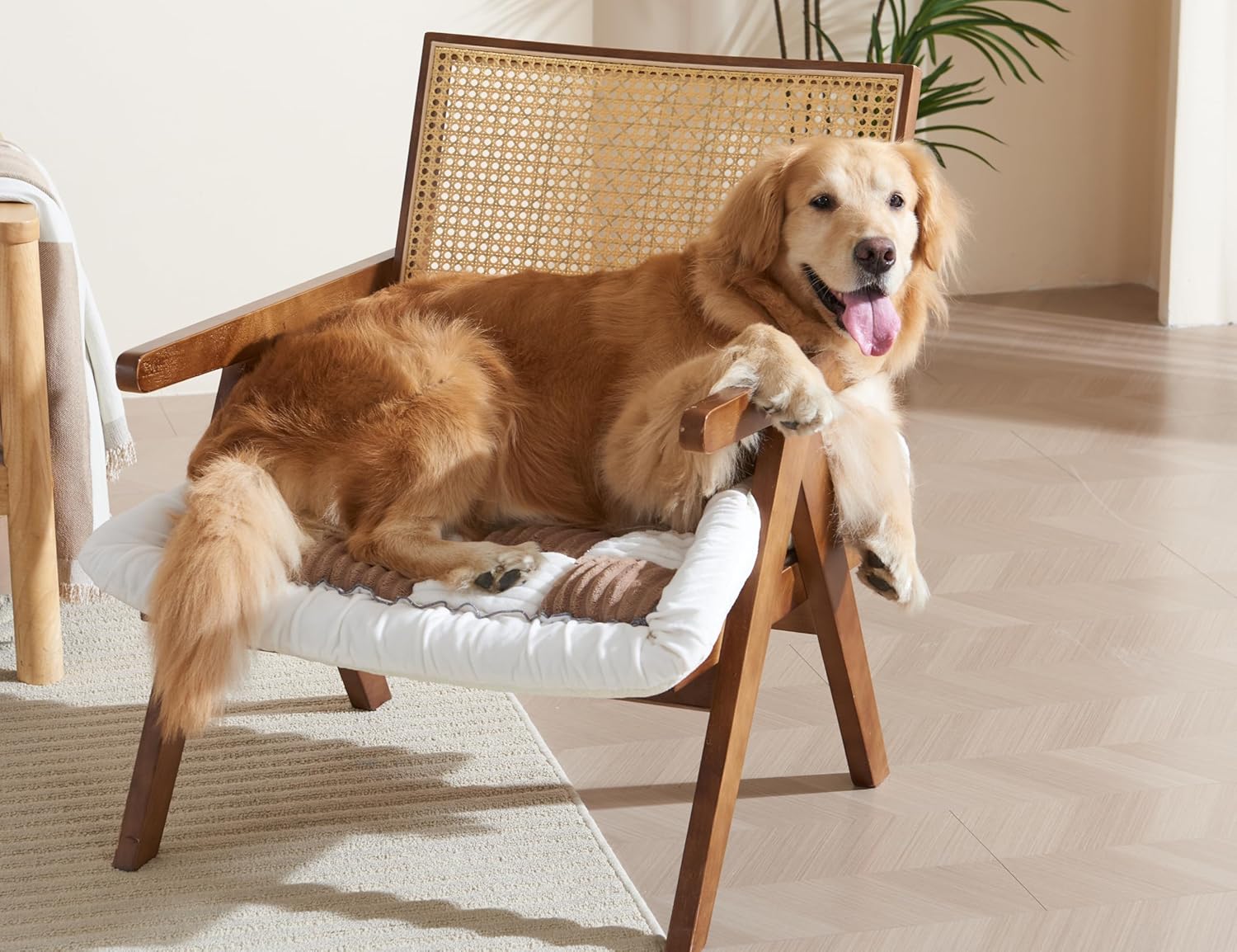 Couch Cushion Cover for dogs Sofa Cover Washable Pet Love Seat Couch Covers for Sofa Slipcovers Couch Protector Blanket for Dog Sofa Cushion Covers for Pet Washable Pad Dark Brown 70x70cm/27.6x27.6in