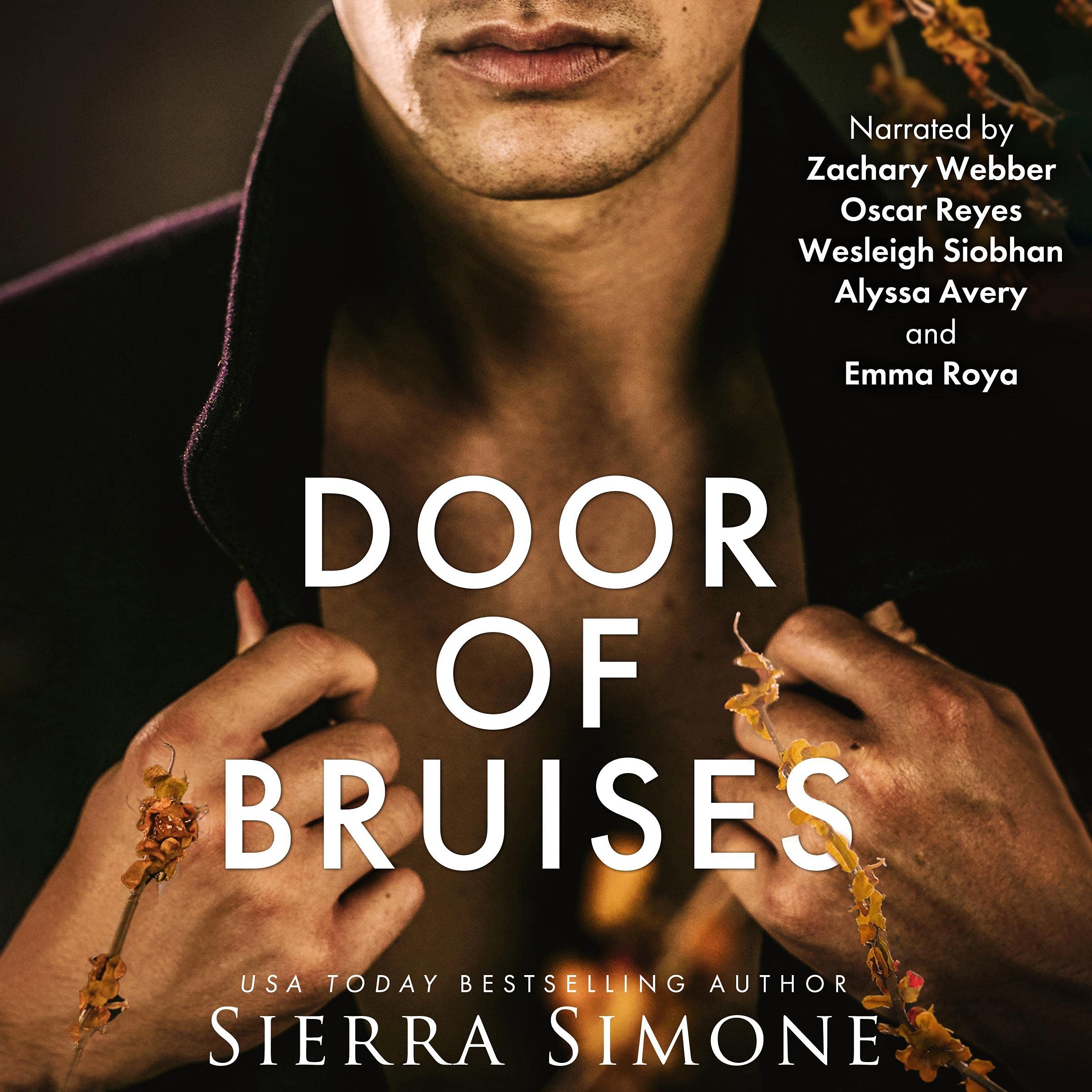 Cover art for Door of Bruises