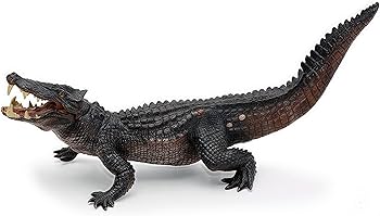 813BMp--DLL._AC_UF350,