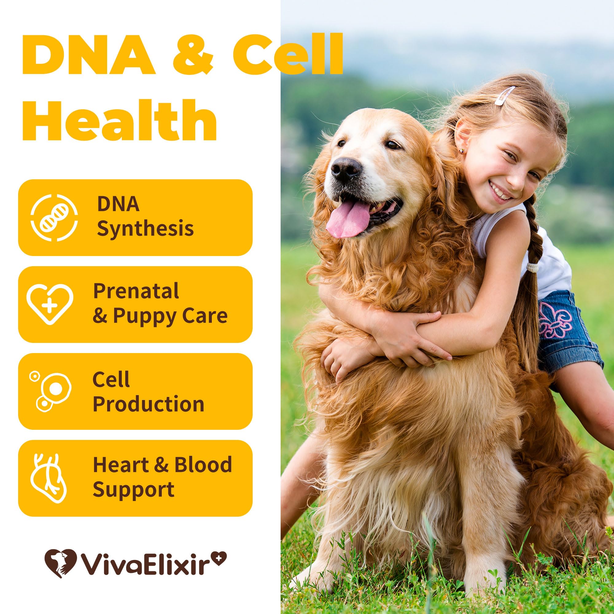 Heart Support Supplement for Dogs Aids B12& Folate Circulatory Strength, Antioxidant Cardiovascular Support, Heart Muscle Function Support DNA Synthesis & Seeking Health Prenatal 4.2oz Powder — Amazon image 2