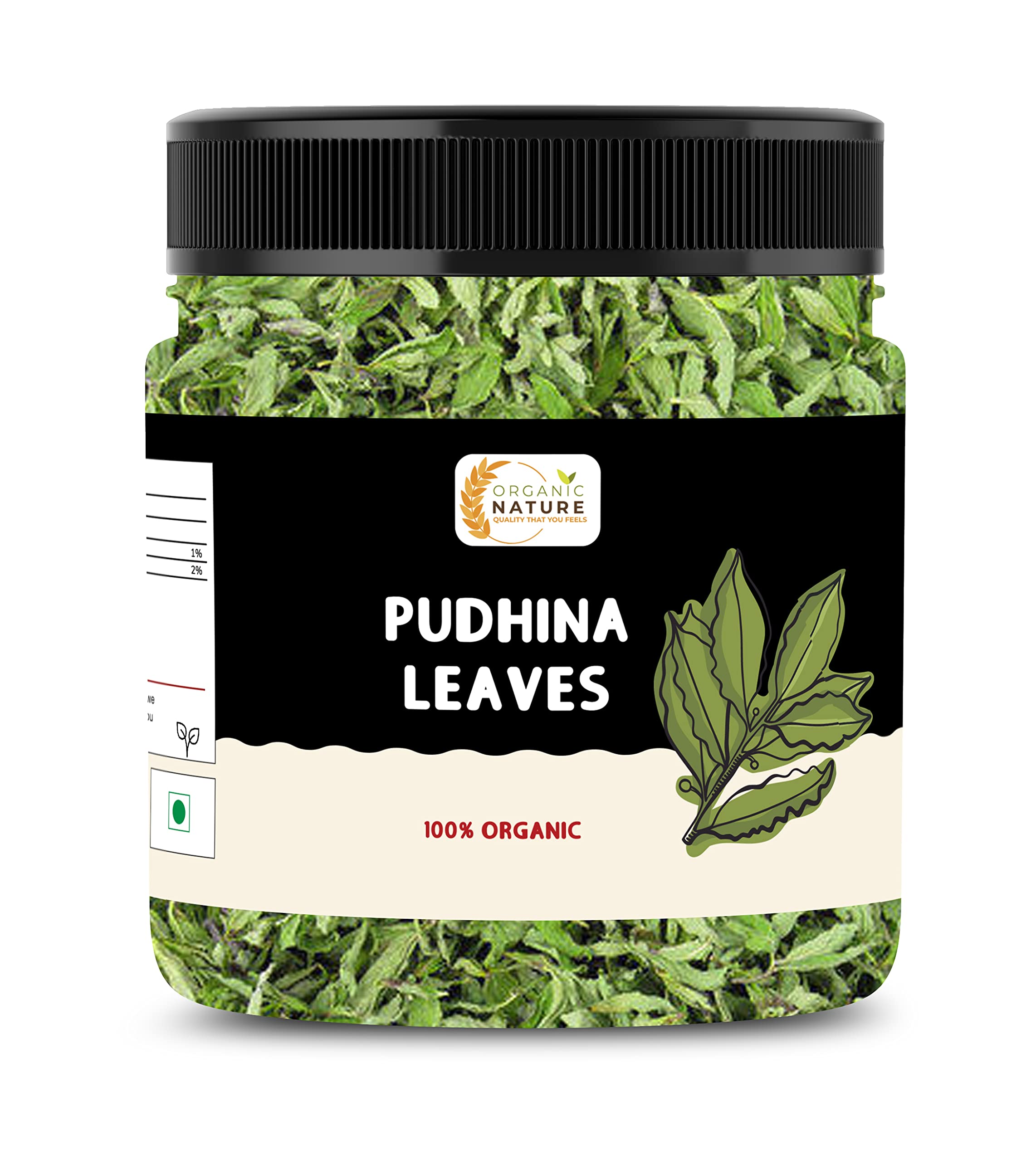 Organic Nature Dry Mint Leaves Sukha Pudina Patti pudhina leaves (Jar Pack) (50 Grams (Pack of 1 of 50 Grams))