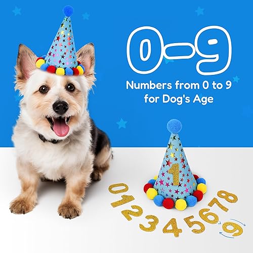 Miniatura 9 de Pacific Pups - Juego de decoraciones de cumpleaños para perro, sombrero de cumpleaños para perro, bandana de cumpleaños para perro, juguete