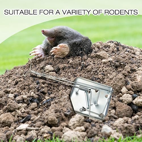 Miniatura 6 de Qualirey Trampa para topos, trampa para ardillas, acero galvanizado y endurecido con aceite, trampa reutilizable para ratones, para césped, jardín,