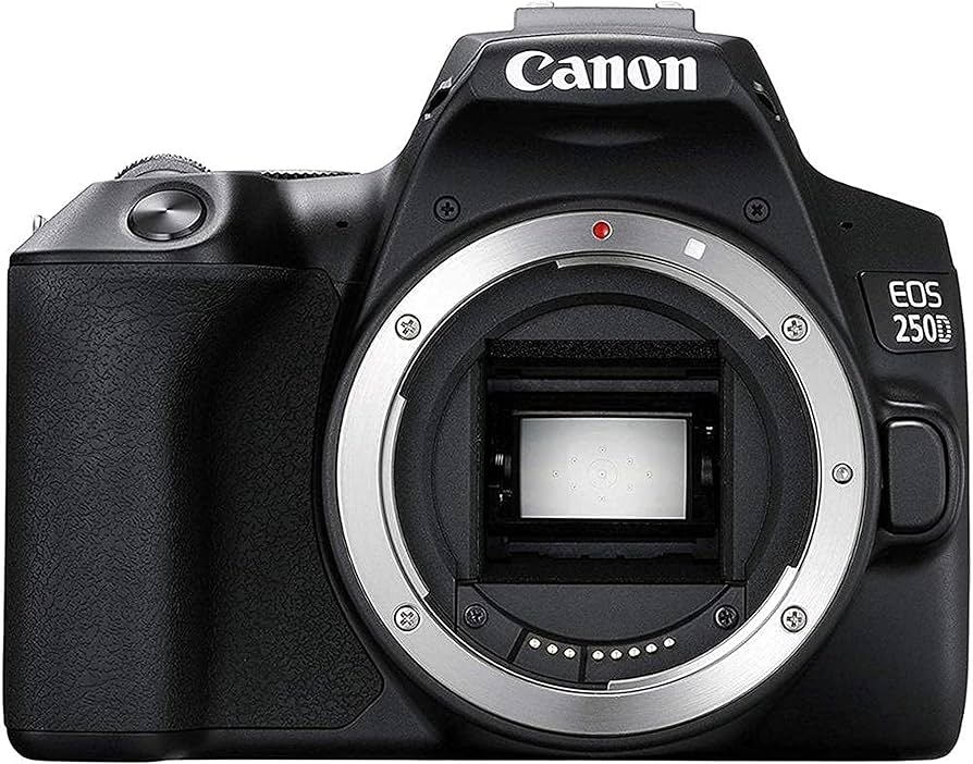 Amazon.com : Canon EOS 250D (Rebel Sl3) DSLR Camera Body Only (No