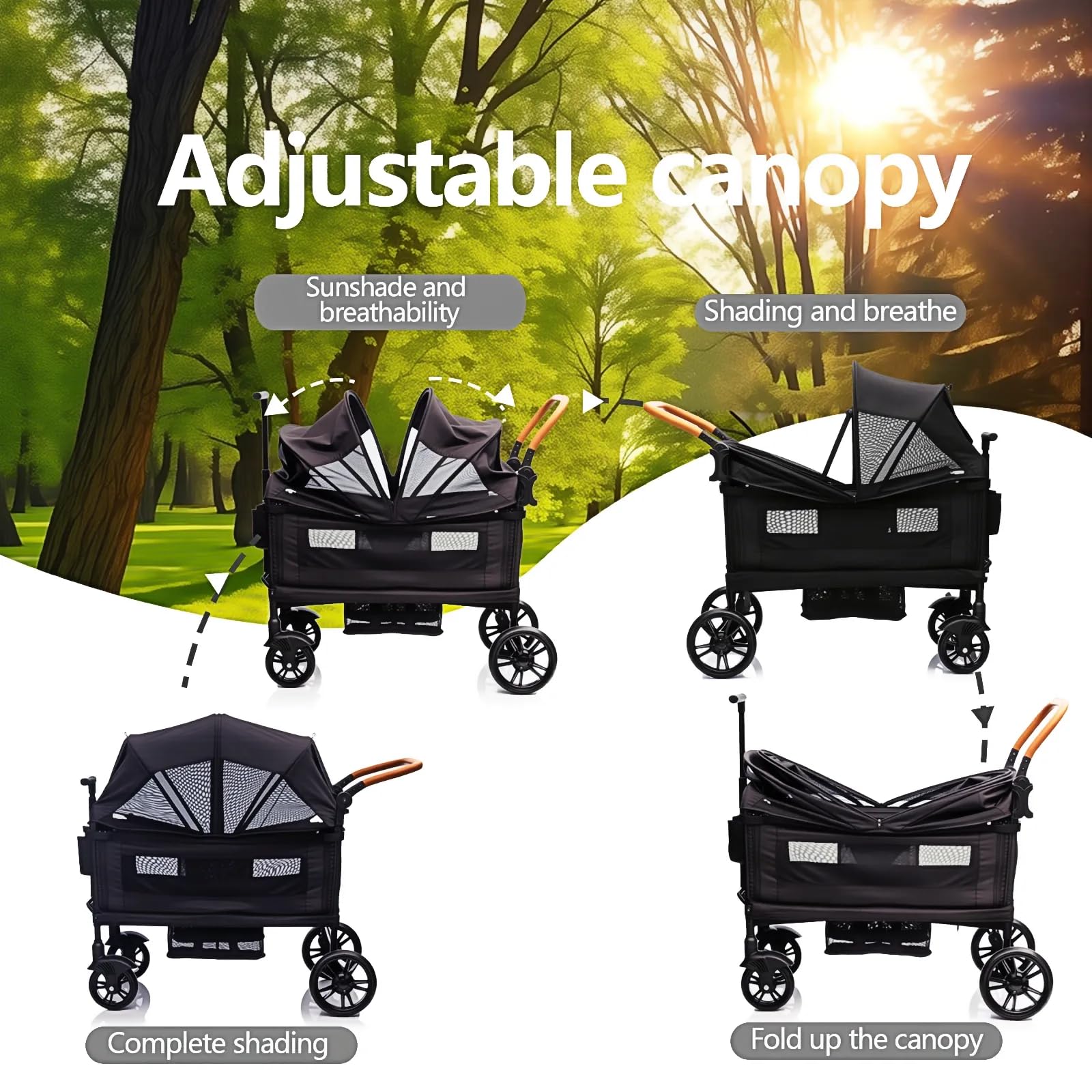 https://m.media-amazon.com/images/I/813BjriG9qL.jpg