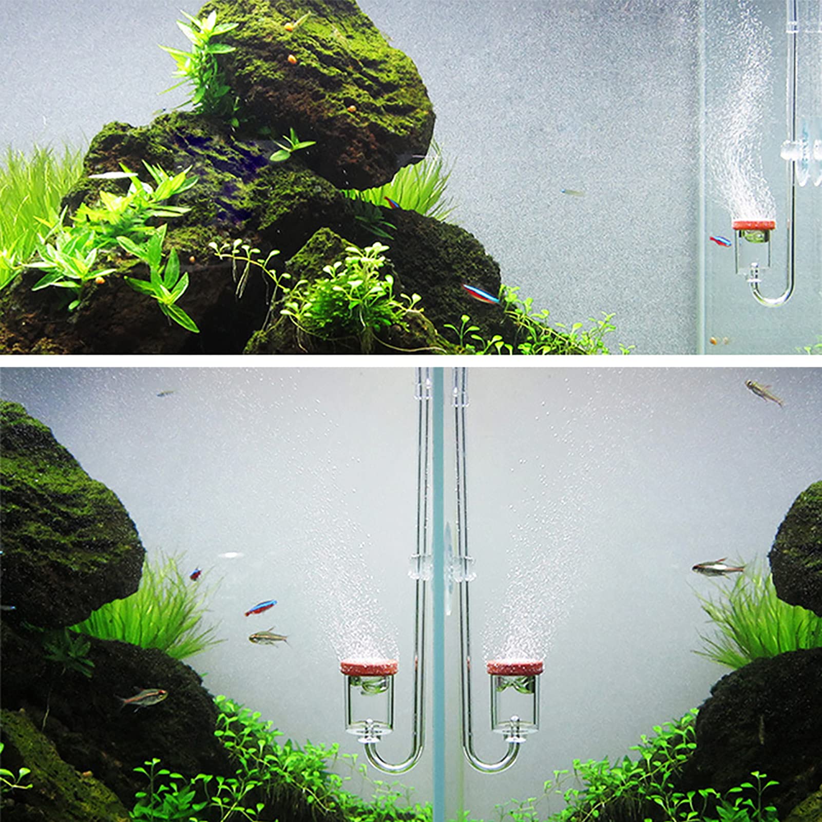 Haofy Contador de Burbujas con Válvula de CO2, Contador de Burbujas Transparente con Contador de Burbujas para Acuario (L)