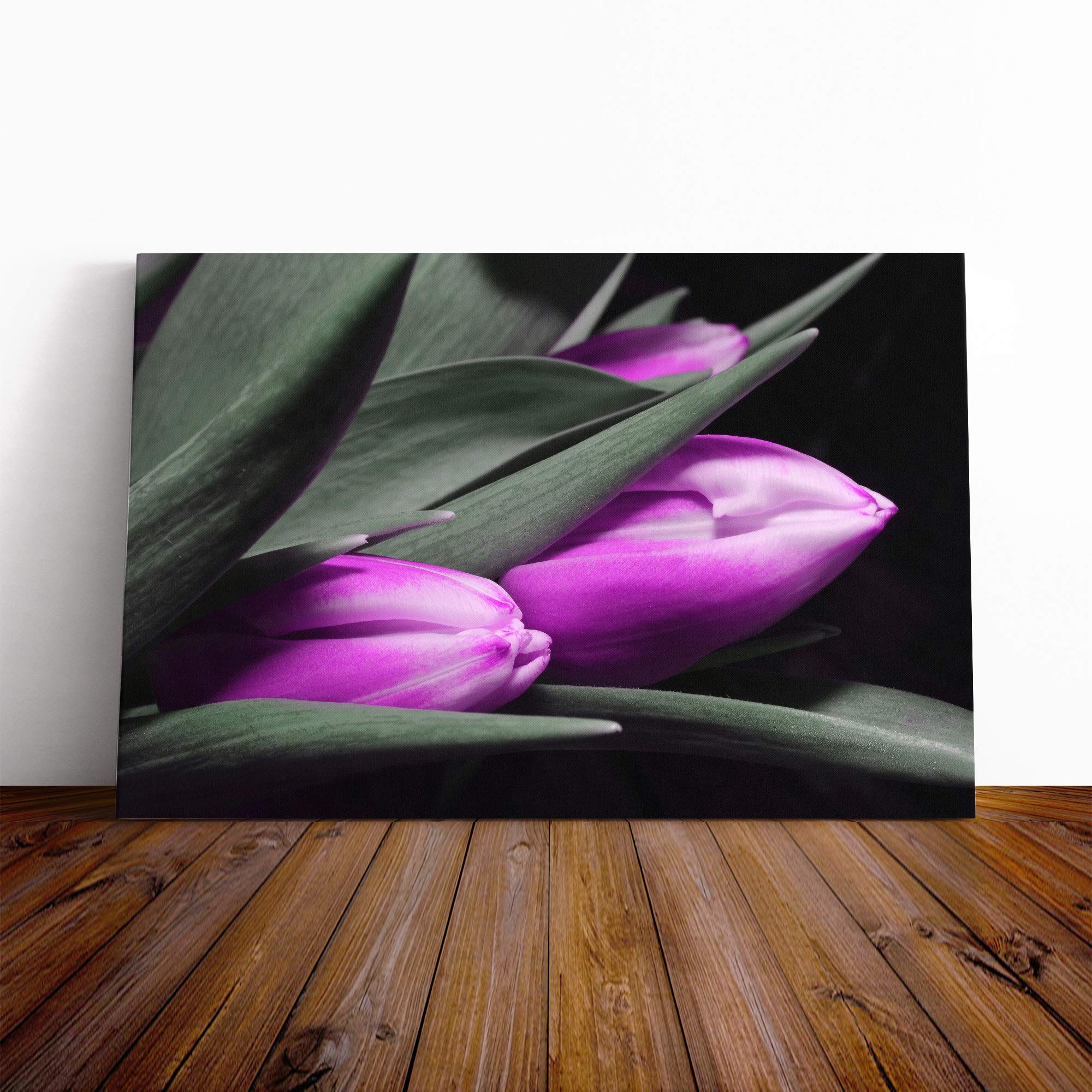 Flower Pink Purple Tulip (3) Canvas Print | Gallery Wrapped 30mm Frame Wall Art | 24x16 inches | Ready to Hang | Contemporary Floral Picture | Living Room Bedroom Lounge Office
