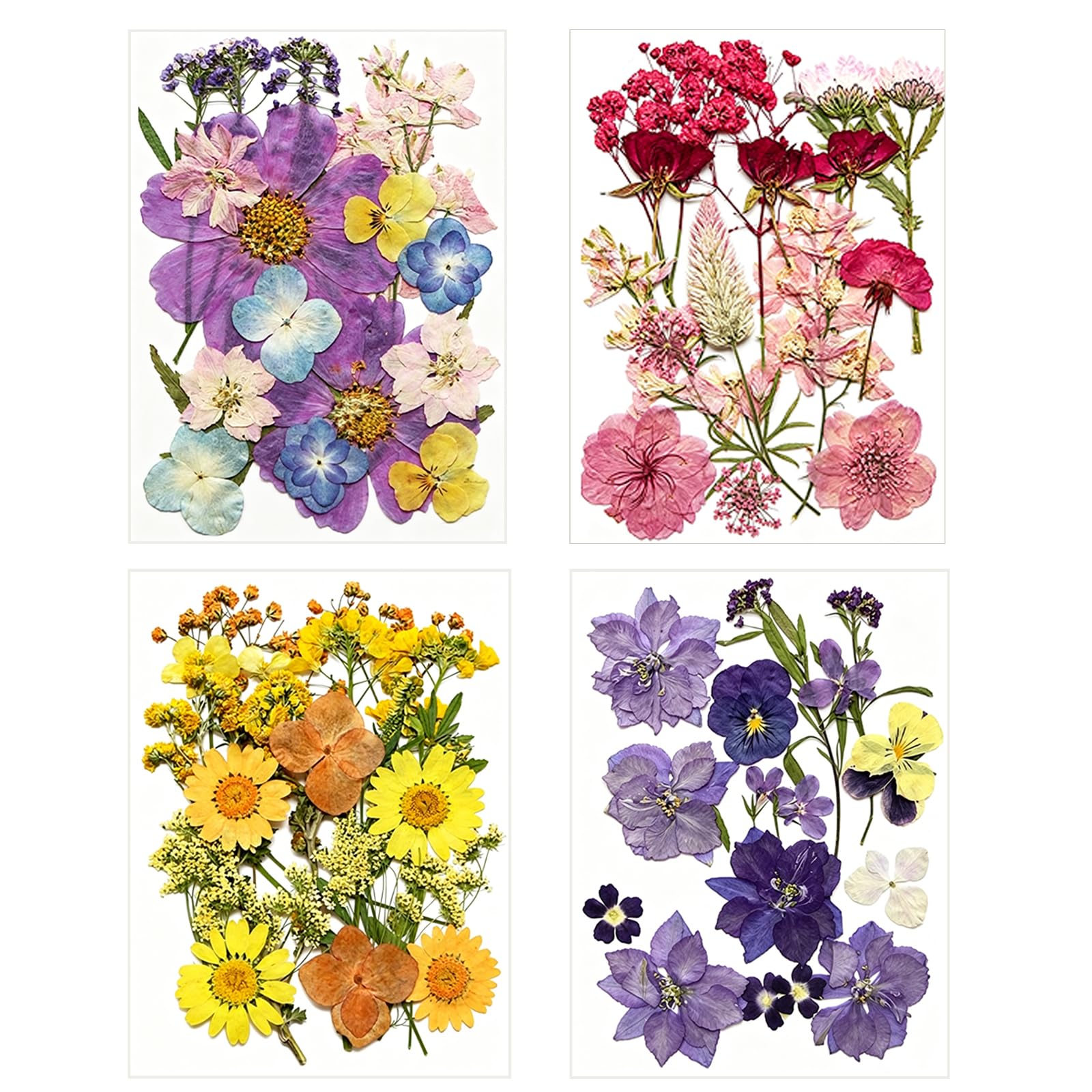 69Pcs Dried Pressed Flowers for Resin Crafts, Mixed Multiple Real Natural Flowers Leaves for Epoxy Resin Jewelry Making, Candle &Soap Making, Nail Art, Scrapbook Crafts Making Floral DIY