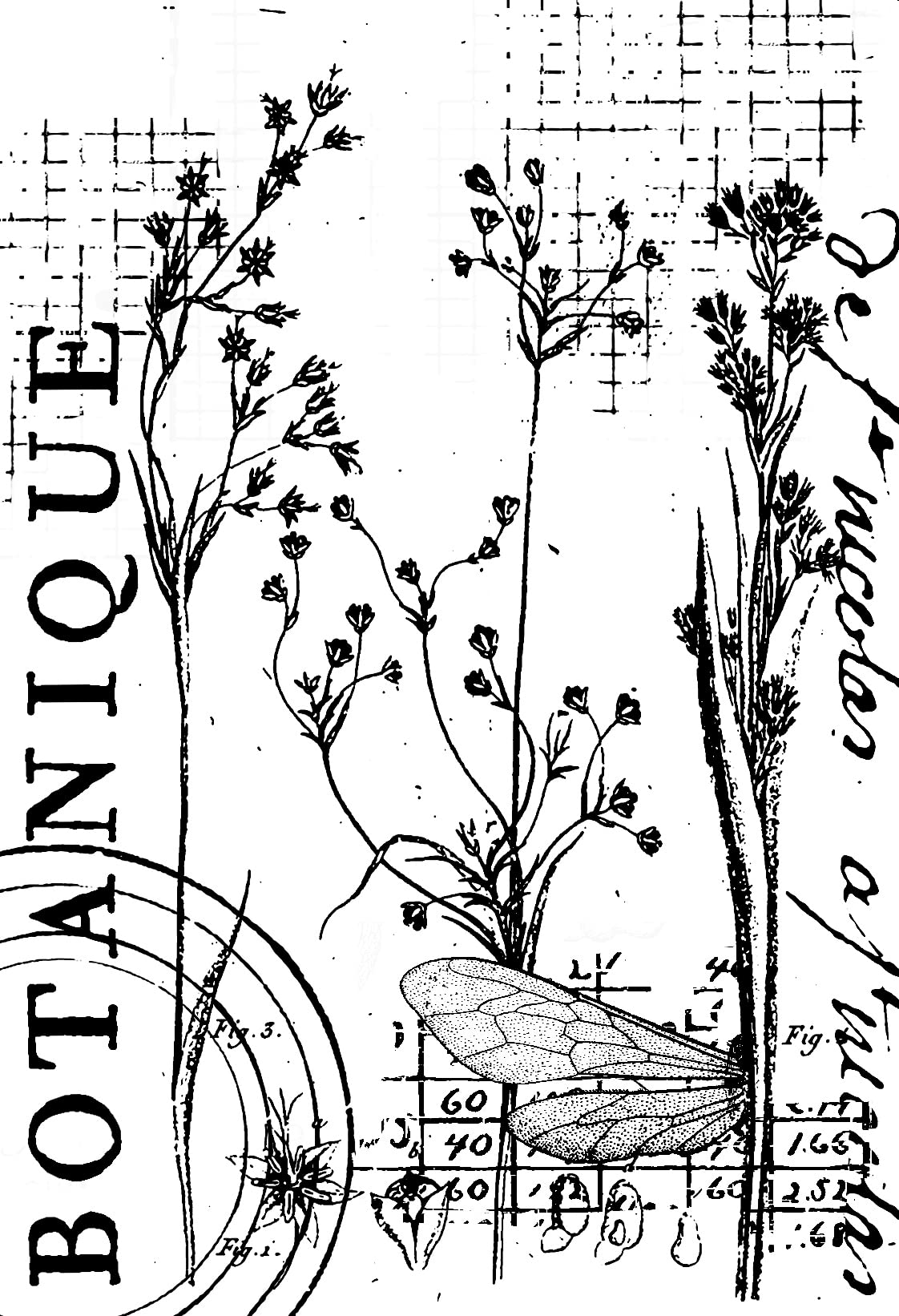 Creative Expressions Clear Stamp Set By Sam Poole 6"X4"-Botanical Collage CEC1030