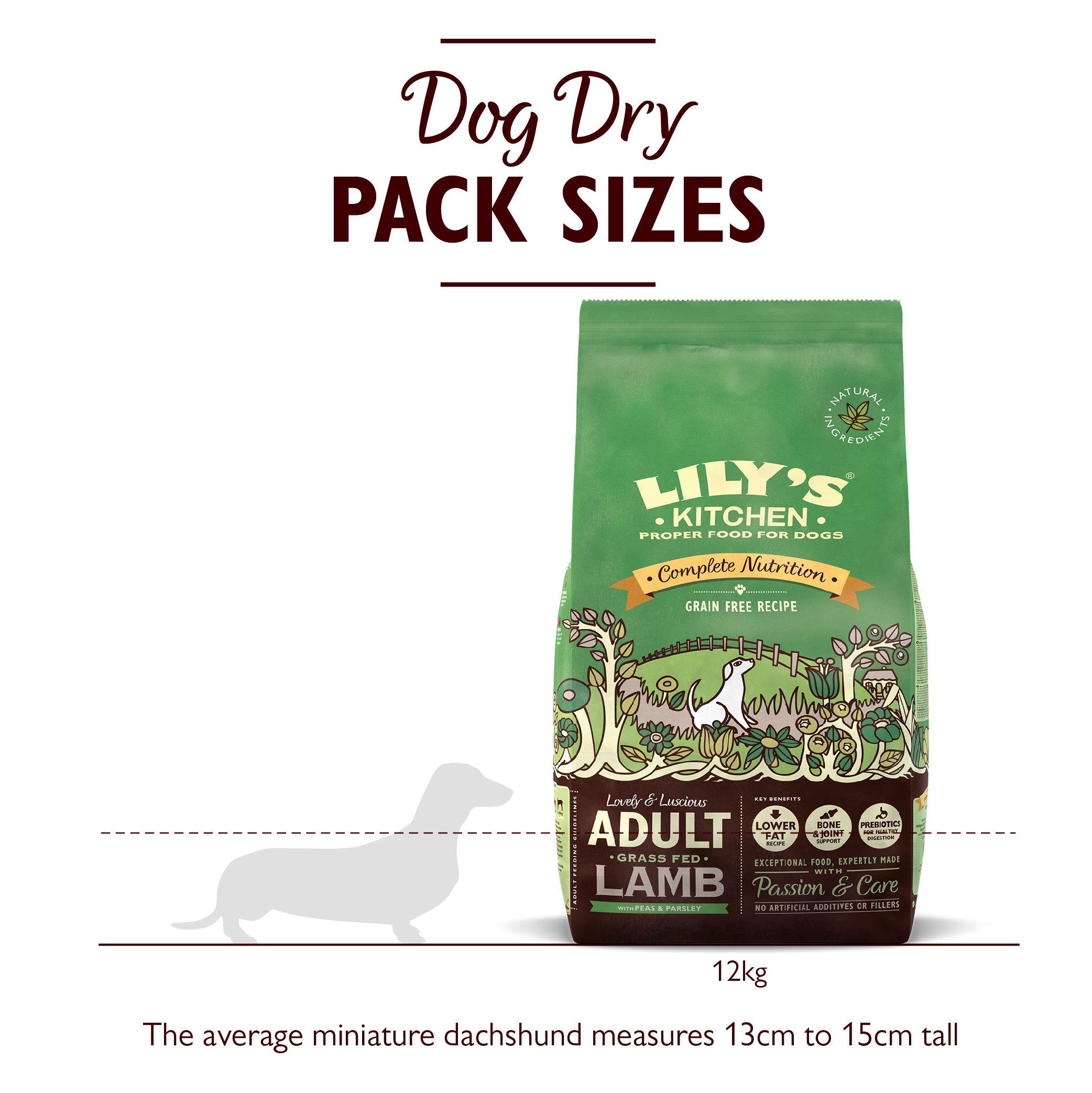 lily's kitchen lamb 12kg