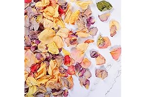 Real Rose Petals Flower Confetti for Wedding and Valentine's Day