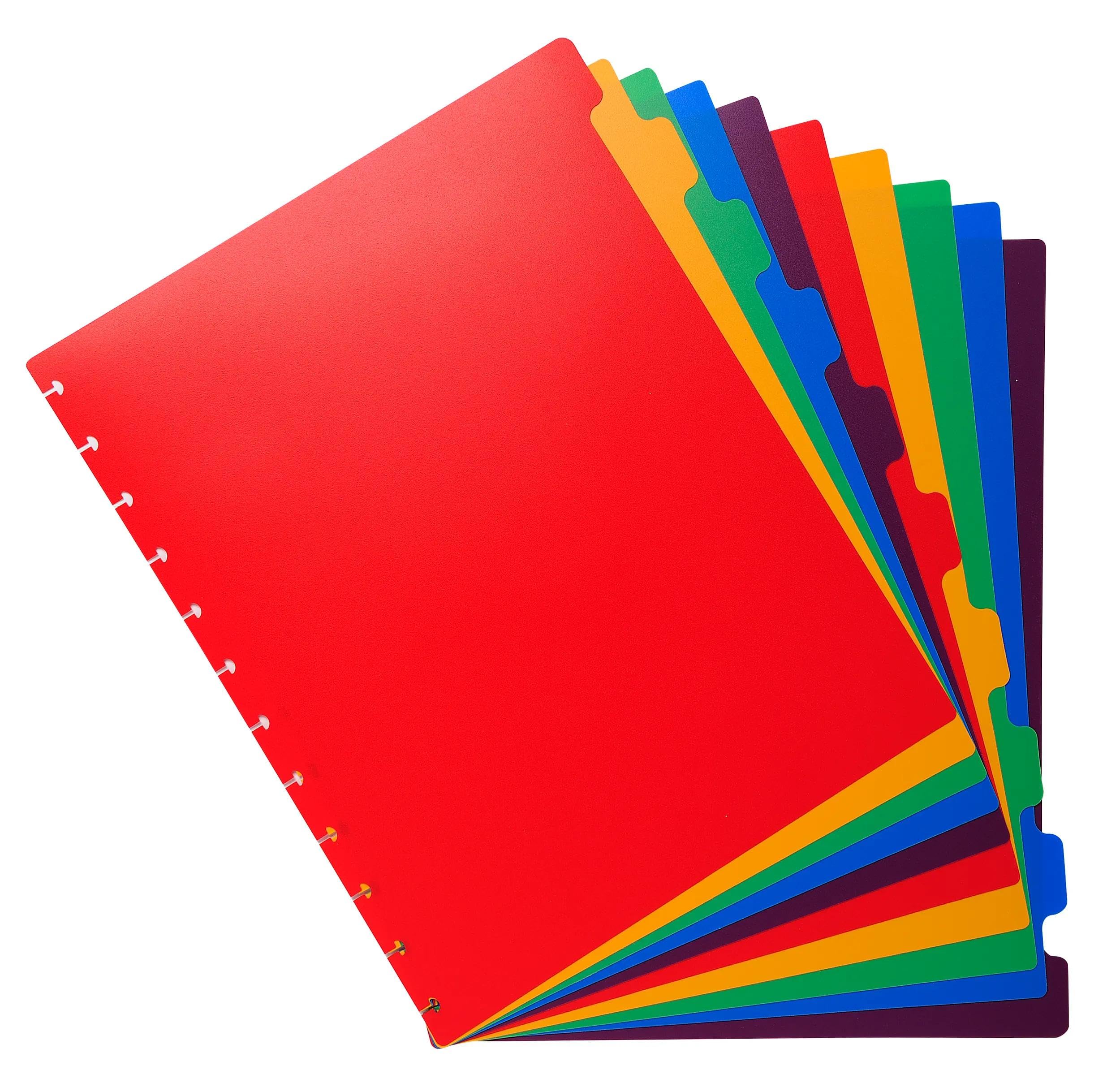 Exacompta - Nr ref. 86003E - Karton 10 wielokolorowych sztywnych przekładek z polipro do zdejmowanej folii pierścieniowej - 10 neutralnych zakładek - dla formatu A4 maxi - wymiary 24 x 30,5 cm