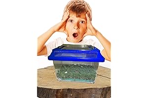 Roly Poly Vivarium/Terrarium from Pocket Pets: Embrace the Fascinating World of Rollie Polies