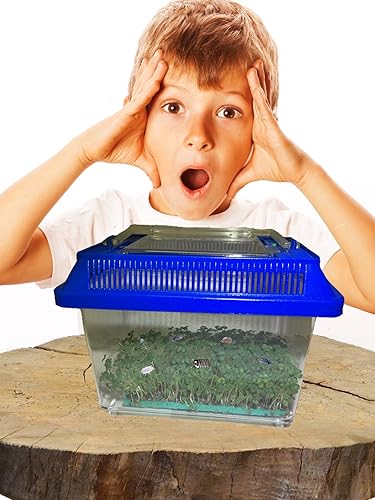 Roly Poly Farm VivariumTerrarium de Pocket Pets (colores surtidos) (pequeño con capacidad para hasta 250 roles)