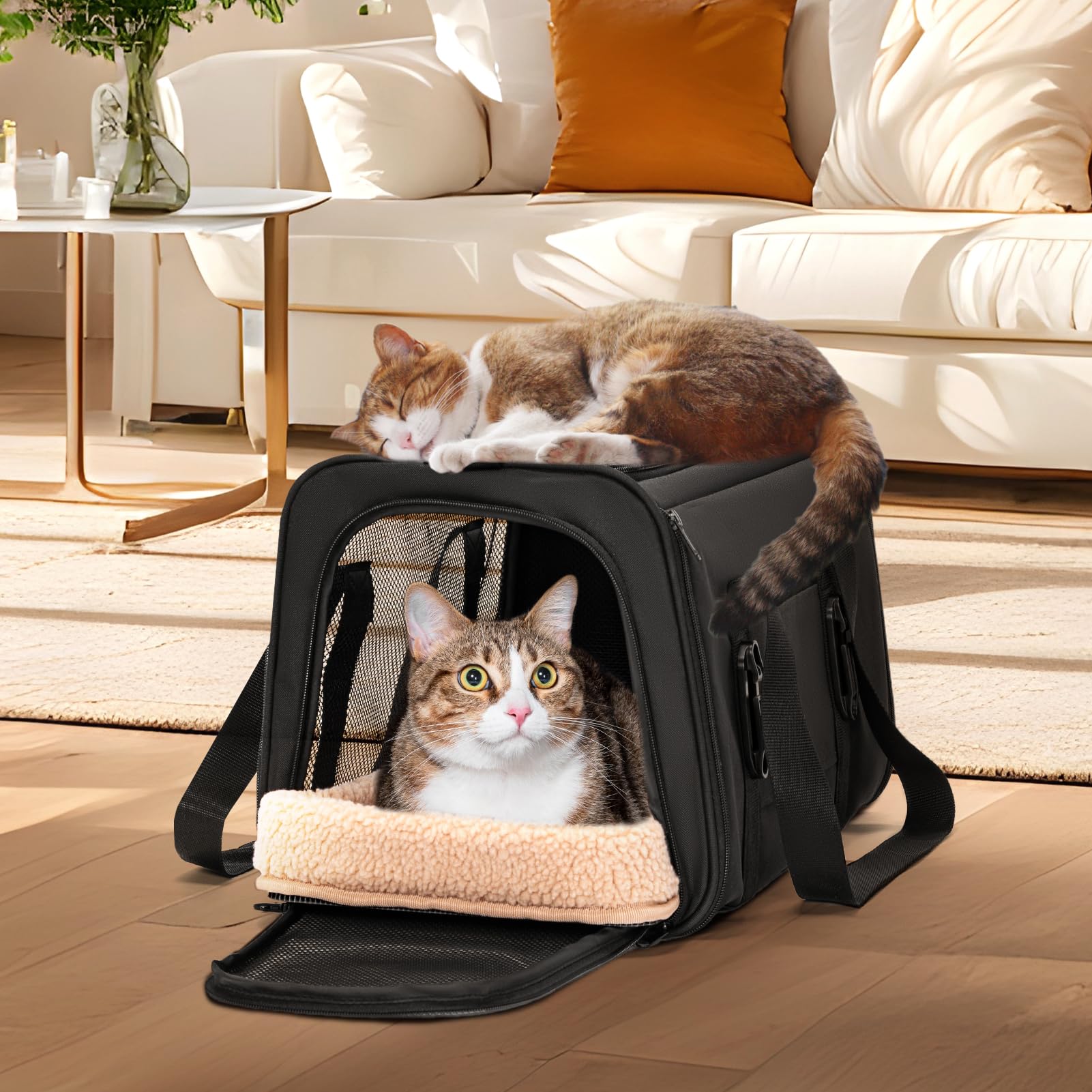 Petsfit Trasportino per Gatti con Fibbia di Sicurezza Brevettata – Sedile Auto per Gatti a Prova di Fuga con Cerniera Bloccabile e Imbracatura Anti-Perdita, Trasportino Sicuro con Lati Morbidi, Adatto
