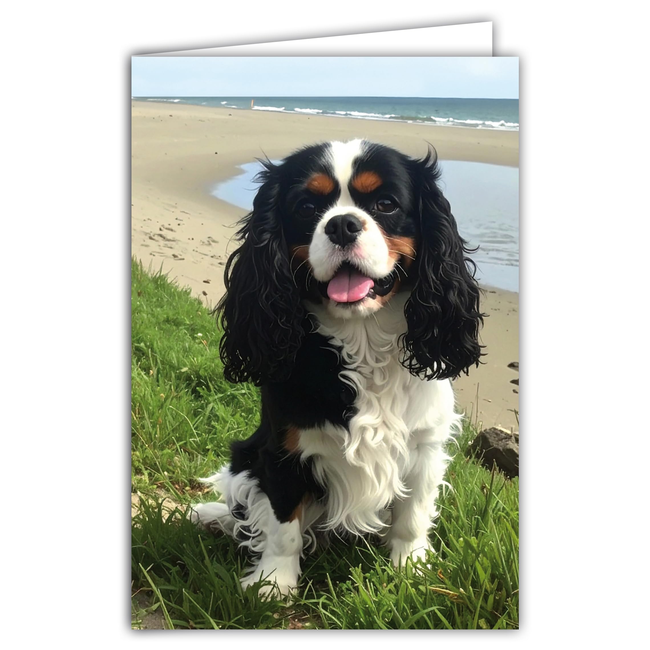 AFIE Dog Photo Greeting Card, Format 17 x 11.5 cm, White Interior with Envelope, Modern Illustrated Style, Made in France