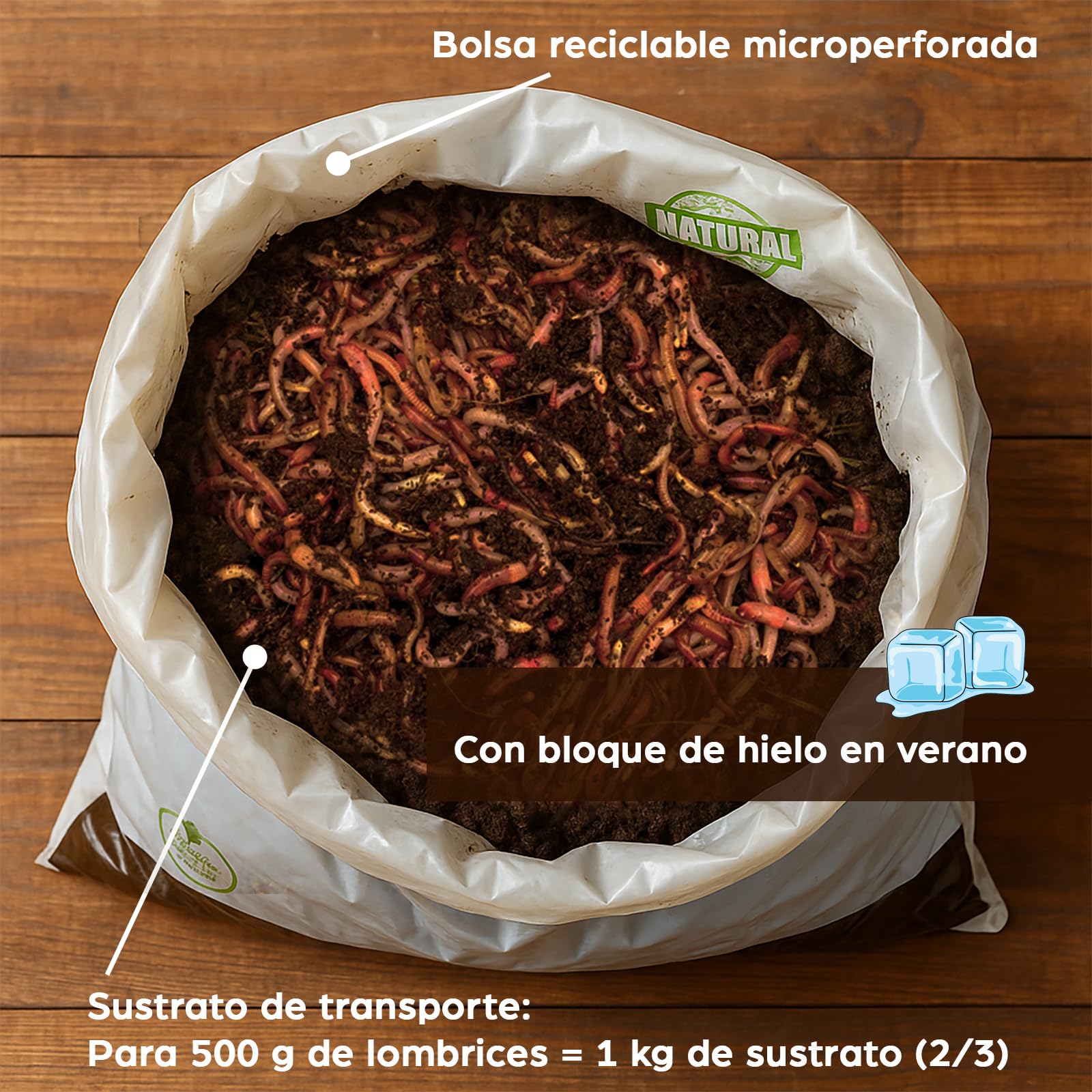 Lombrices 250g (500 uds. aprox.) | Lombriz de tierra vivas Eisenia, elabora compost con tus residuos orgánicos - Para vermicompostador/compostador/jardín