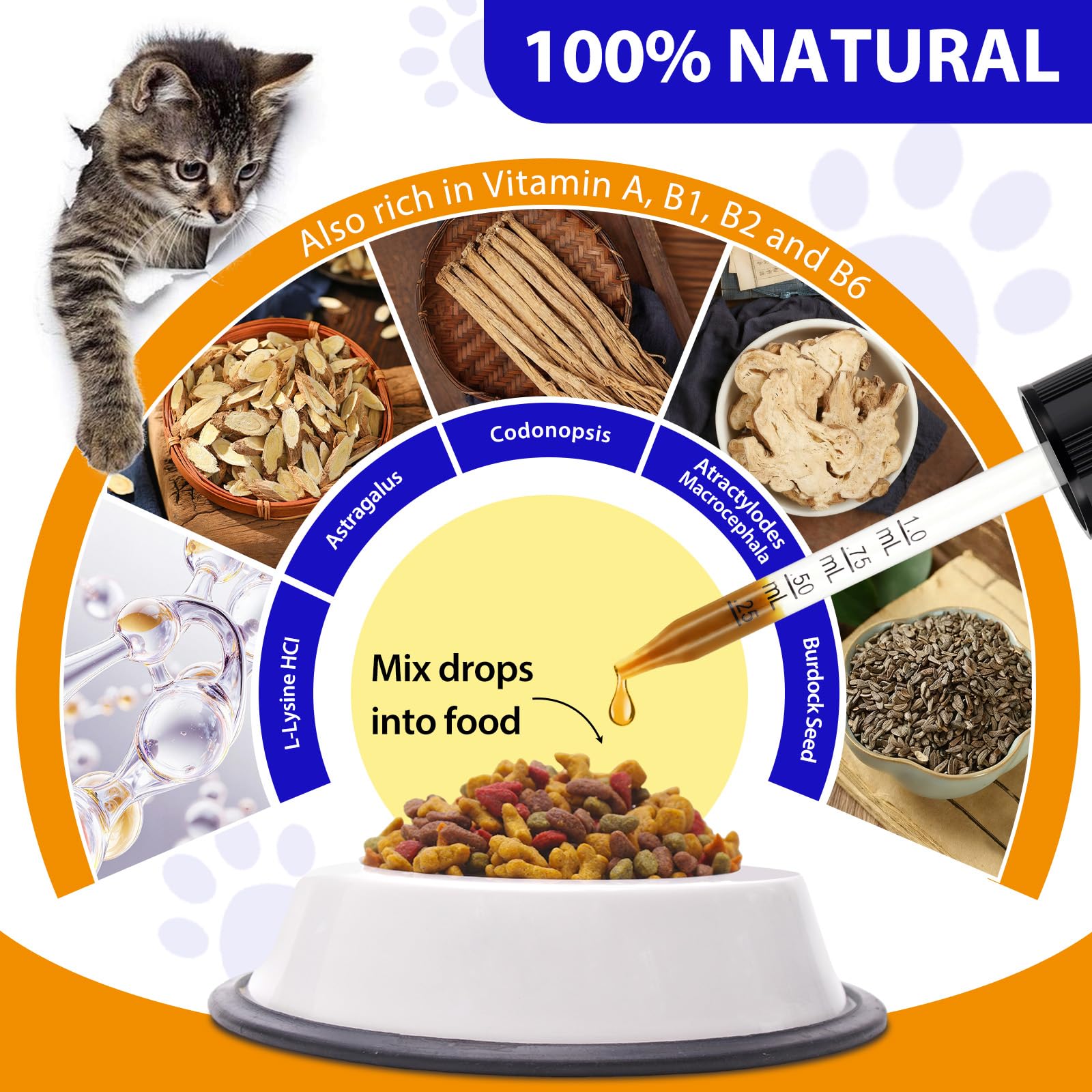 L-Lisina para Gatos, 60ML Lisina Gatos Aliviar Alergias en Gatitos, Estornudos, Gripe Felina, Antibióticos para Gatitos con Vitaminas y Minerales