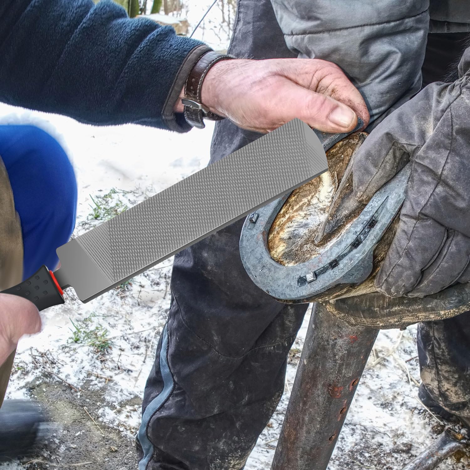 Gisafai 2 escofinas para herrar caballos con mango de acero al carbono, herramientas para reparación de pezuñas de caballo, pezuñas de cabra, vaca, burro, cerdo, pezuñas de animales, suministros de