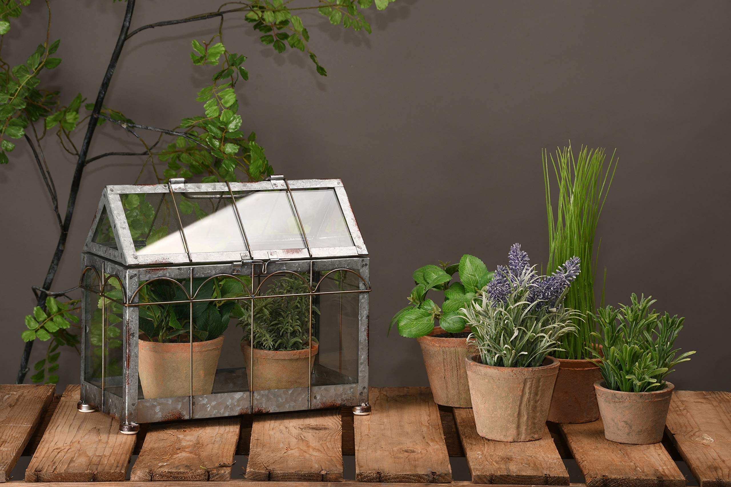 Esschert Design ZB21 Table-Top Vintage Look Greenhouse/Terrarium