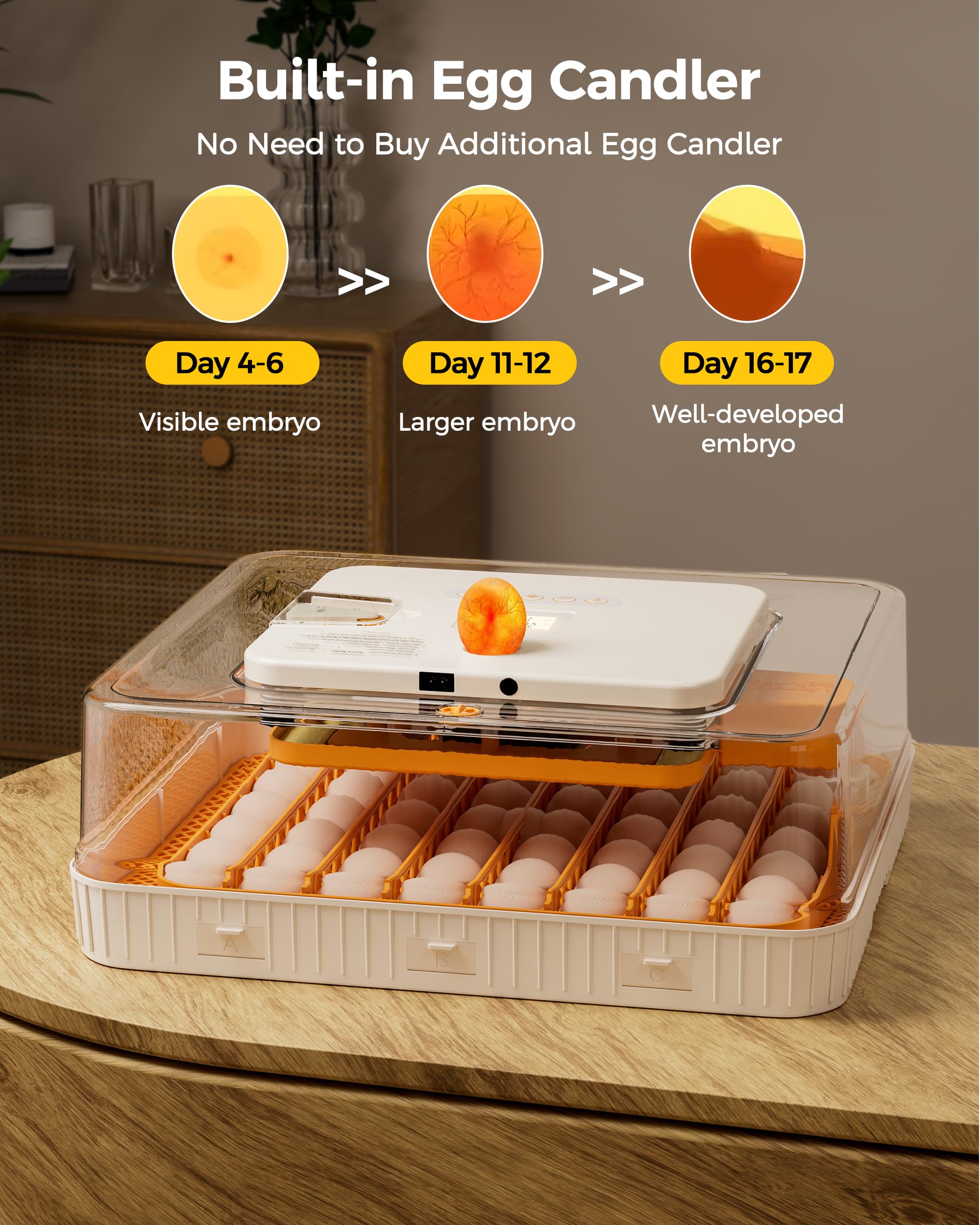 Incubadora de 56 huevos con giro automático de huevos y control de humedad, visualización de 360°, bandejas de huevos de doble tamaño para pollo, pato, ganso, pavo, codorniz y huevos de loro