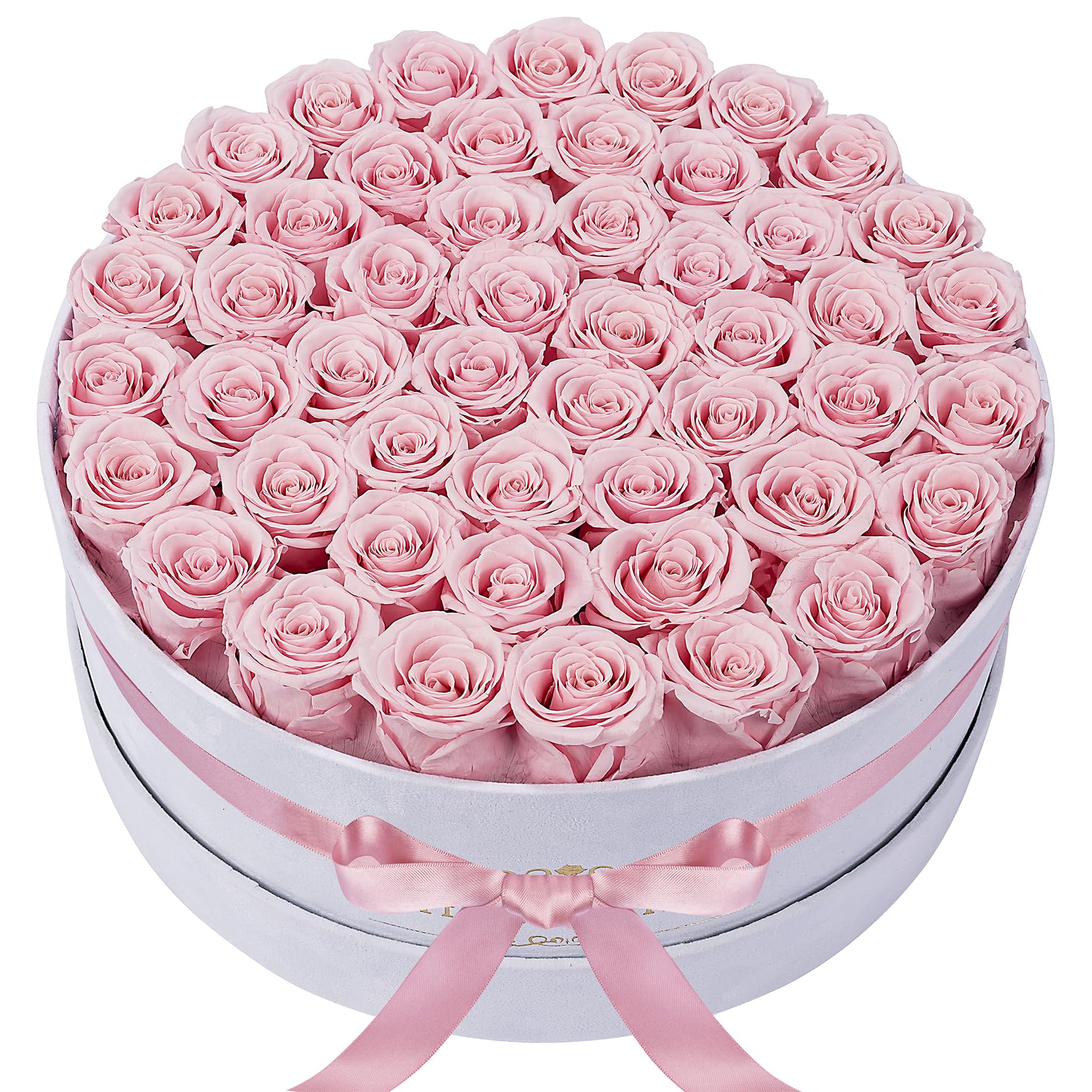 Perfectione 50pc Roses in a Velvet Box