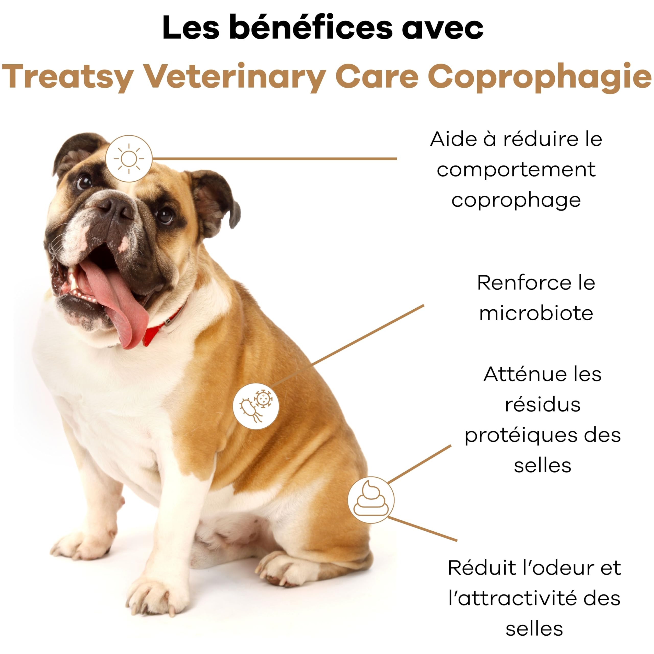 Coprophagie Chien – Complément Vétérinaire Contre l’Ingestion de Ses Propres selles – Yucca, Probiotique Enterococcus faecium, MOS & Bêta-Glucanes – 60 Bouchées Vétérinaire