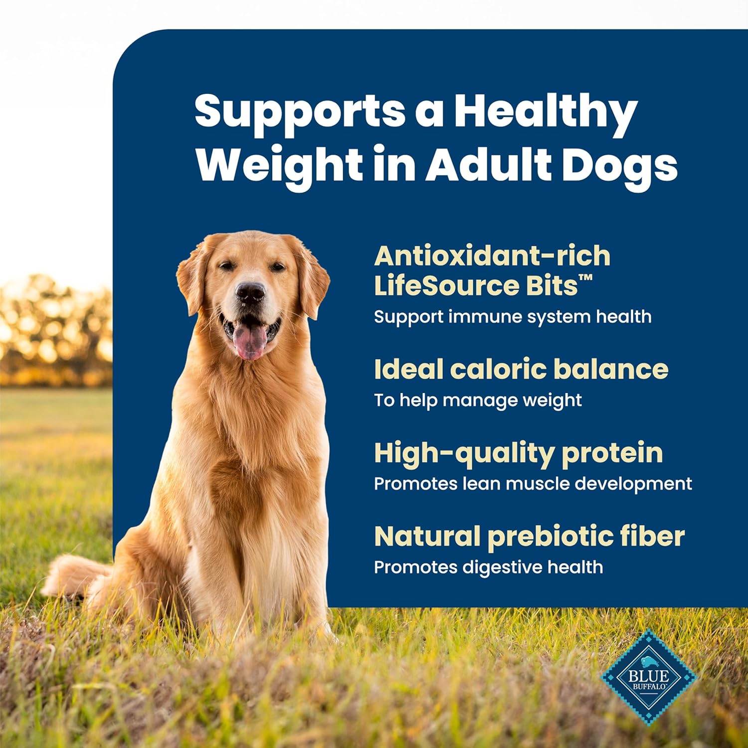 Blue Buffalo Life Protection Formula Healthy Weight Adult Dry Dog Food, Chicken & Brown Rice, Supports Immunity with Antioxidant-Rich LifeSource Bits, Promotes Lean Muscles & Weight Control, 34 lbs. thumbnail