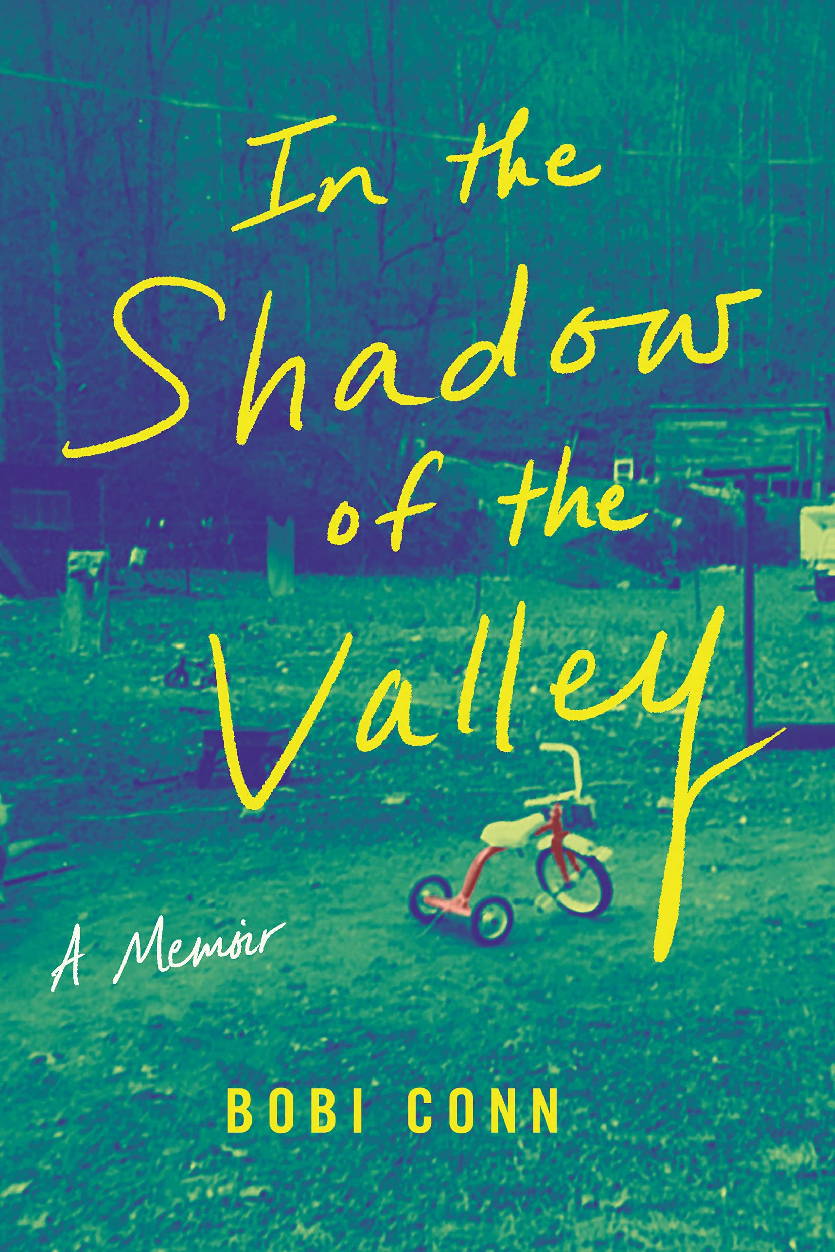 In the Shadow of the Valley: A Memoir