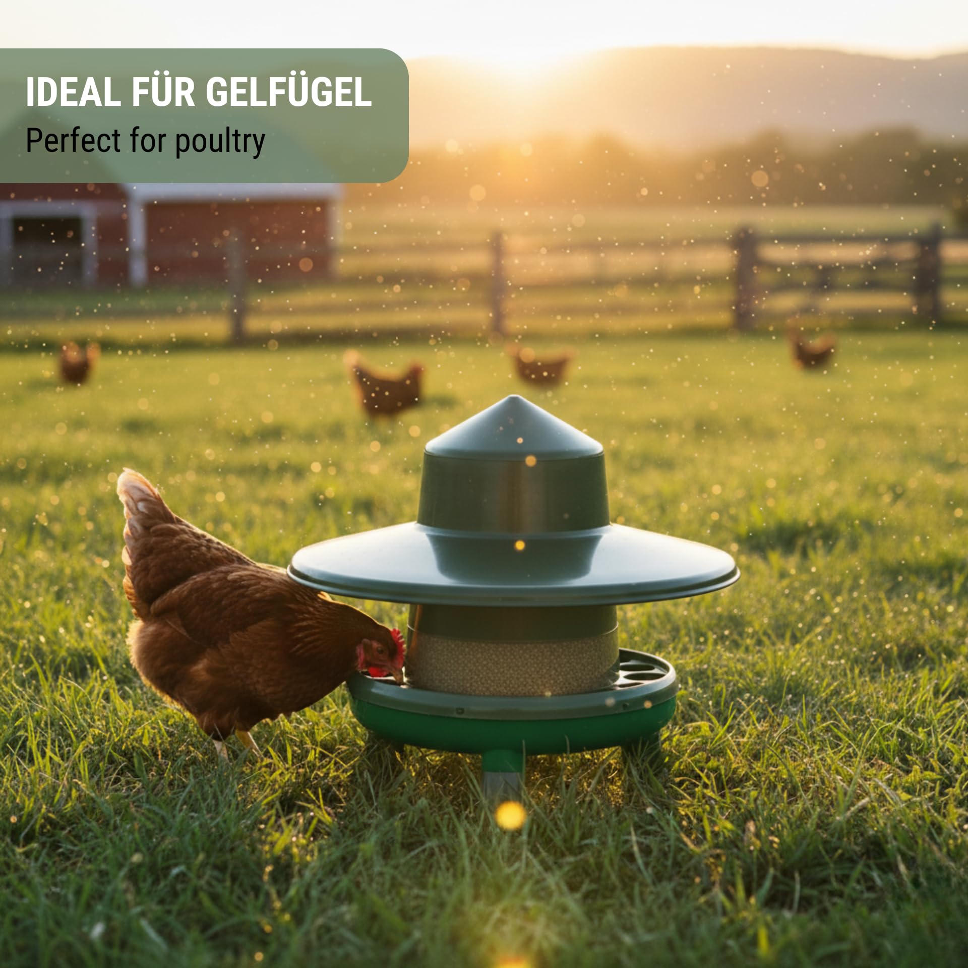 Agrarzone Eco Futterautomat Hühner Regenschutz 4 kg Geflügel Automatisch | wetterfest, Recycling, Hühner, Geflügel, leicht zu reinigen
