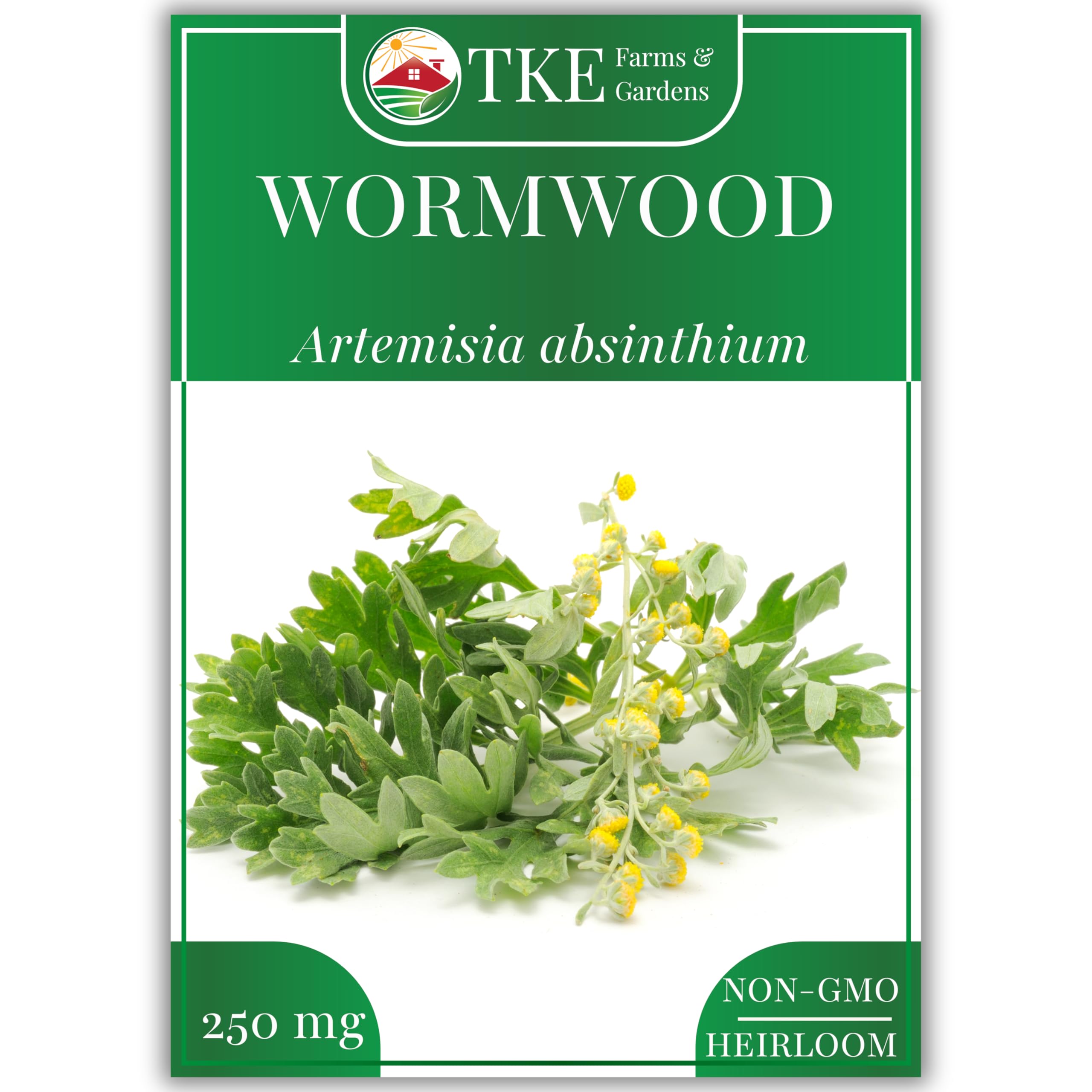 Wormwood Seeds for Planting, 1000+ Heirloom Non-GMO Seeds, Aromatic Perennial Herb with Silvery Foliage, Hardy and Drought-Tolerant, Beautiful Low-Maintenance Garden Plant