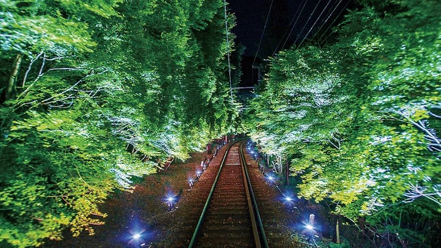 叡電 もみじのトンネルへ 展望列車きらら [Ultra HD Blu-ray] z2zed1b 叡電 もみじのトンネルへ 展望列車きらら【4K・HDR】【4K ULTRA