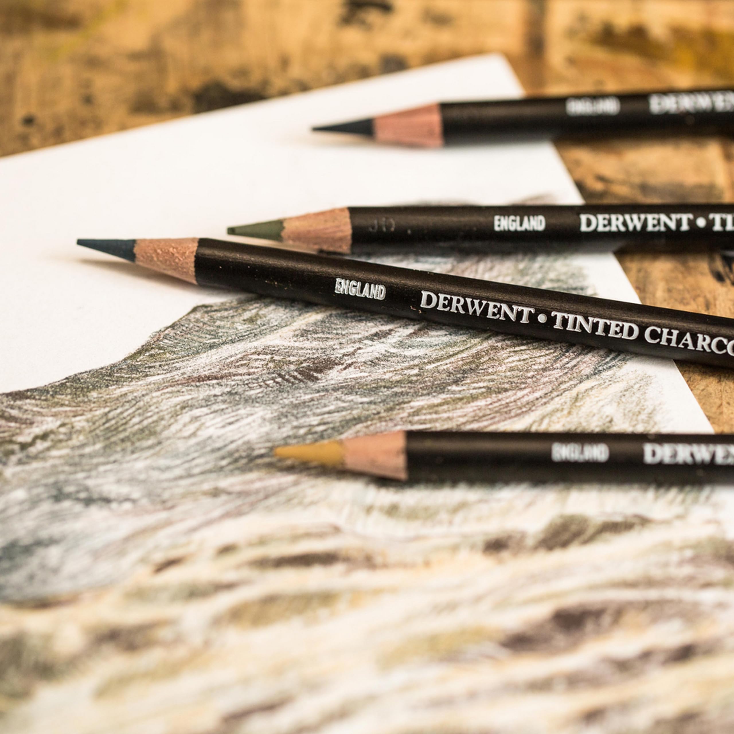 Derwent Tinted Charcoal Set di 24 Matite Colorate Acquerellabili a Carboncino per Disegnare e Scrivere, Ideali per le Sfumature, Qualità Professionale