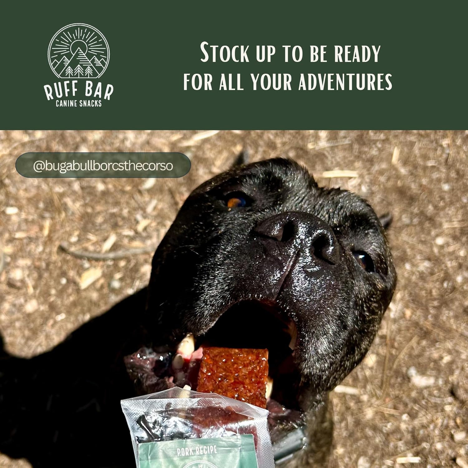 RUFF BAR Pork Dog Treat - Real Meat Snack Bars - Natural, Grass Fed, Hormone & Antibiotic Free Snack Bars for Active and Adventure Dogs - with Dates, Chia Seeds, Carrots & Celery - 1.5oz - 5 Packs