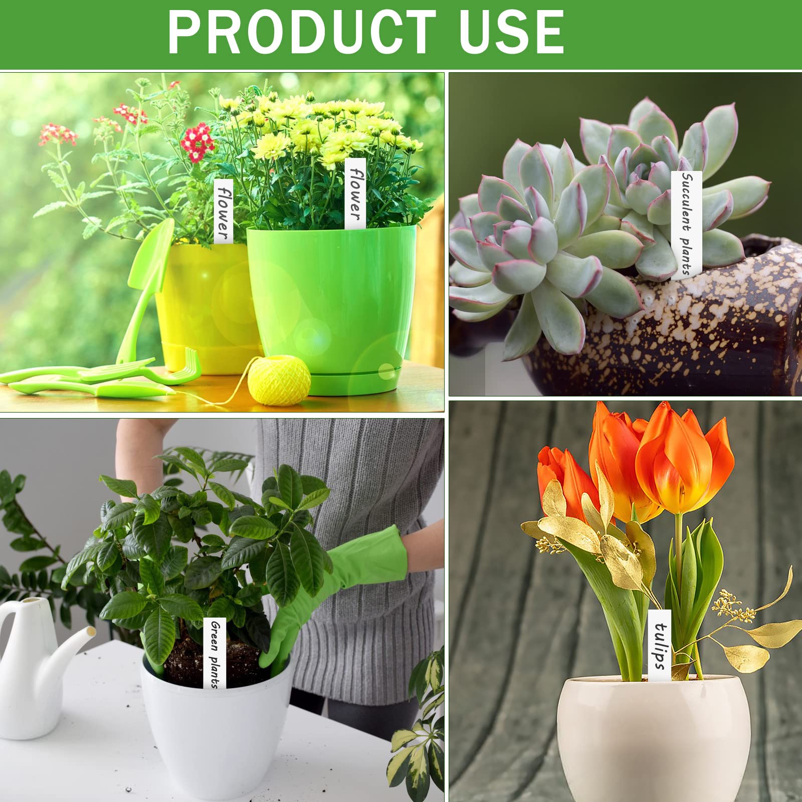 Étiquettes Pour Plantes De Jardin - 100 Pièces En Plastique Blanc Imperméable, Ronde Et Petite, Résistantes à L'Eau Et Au Soleil, Idéales Pour Potager Et Balcon