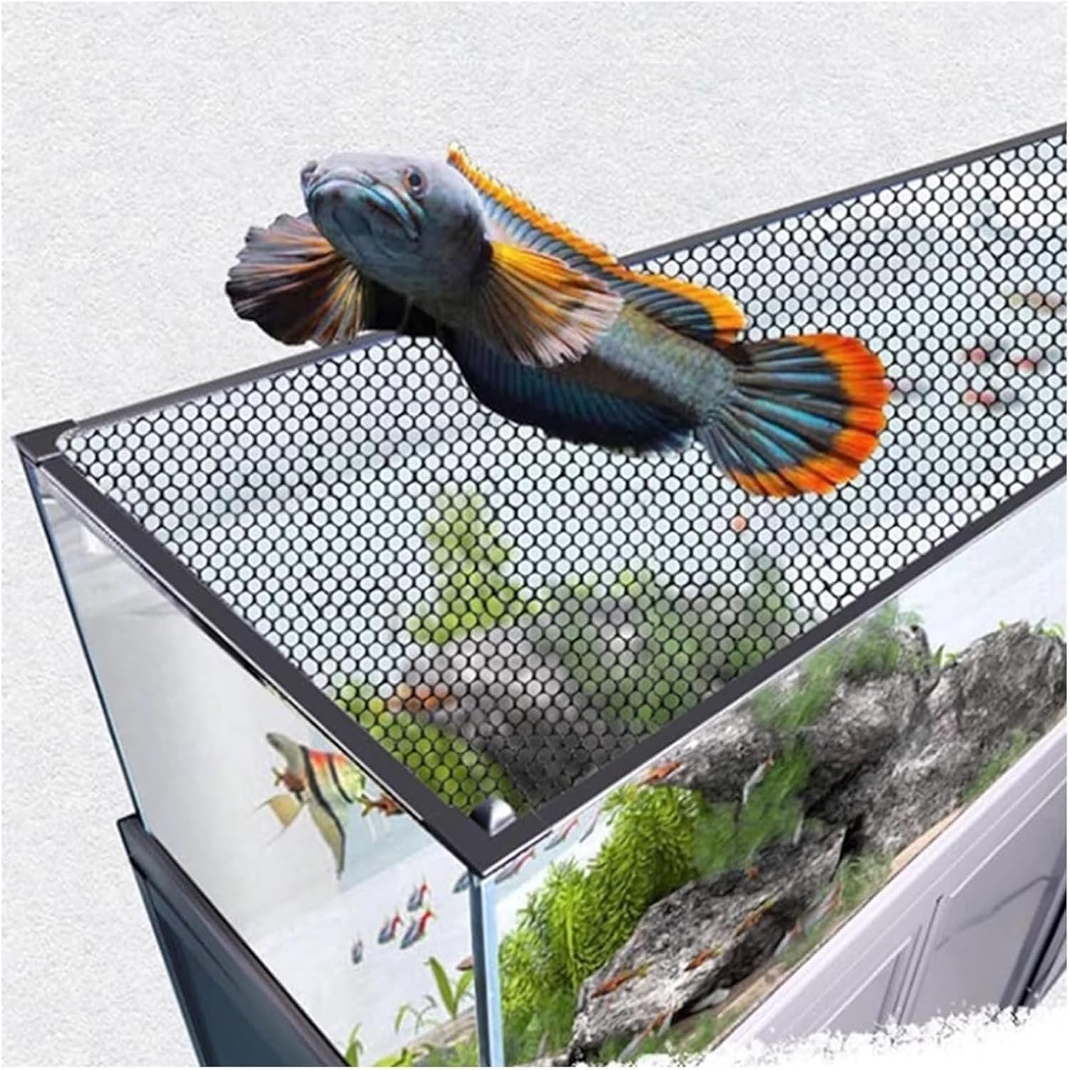 Aquarium Anti-Jump Cover， Terrarium Ventilation Opening Hood Magnetic Fish Tanks Top Lid Protective Screen Custom Size(L59.1 xW19.7)