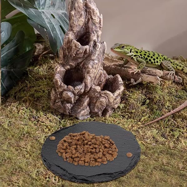 2 Stück Reptilien Sonnenplatz aus runder Schieferplatte, Schale für Baden, Ruhen & Füttern, Natürliches Steinzubehör für Schildkröten, Echsen, Geckos, Schlangen, Frösche & Molche, 14,5 x 14,5 cm - 5