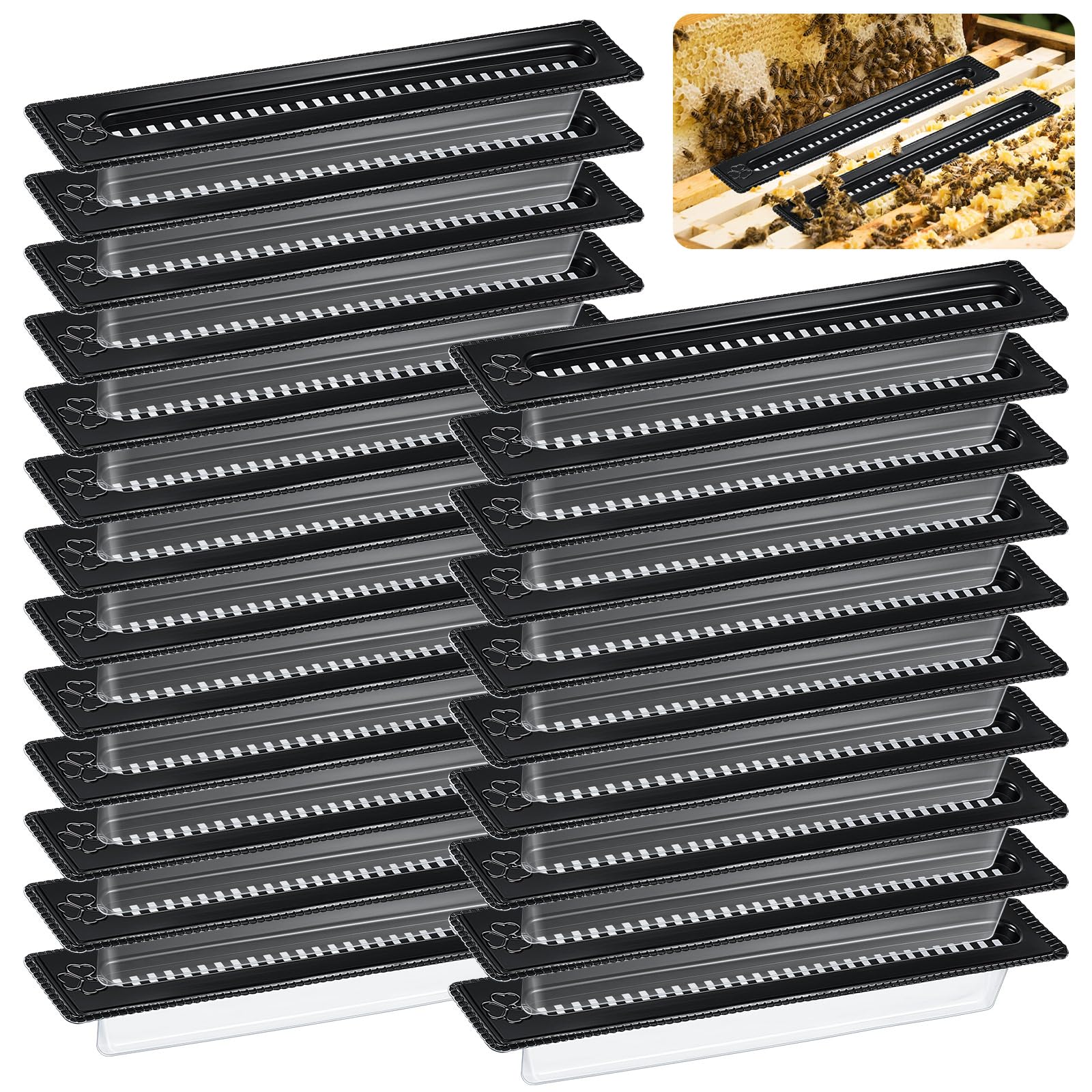 Qualirey Lot de 50 petits pièges à coléoptère en plastique pour ruches, outils d'apiculture, fournitures d'apiculture, contrôle des coléoptères