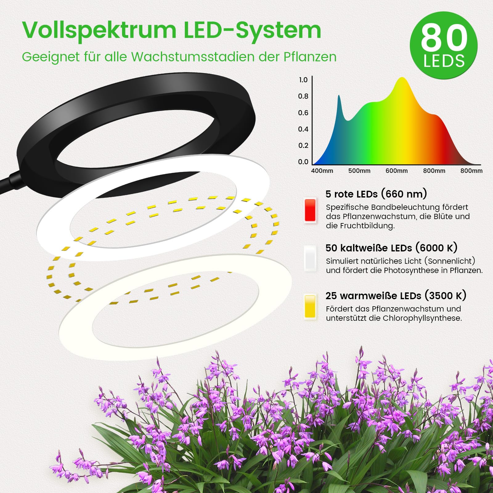 Dhapy Pflanzenlampe LED Vollspektrum, Grow Lampe für Zimmerpflanzen, Grow Light mit Standfuß, 80 LEDs 3 Lichter Modi und 5 Helligkeit, Pflanzenlampe mit Timer 6/12/16H, 58cm~170cm Höhenverstellbar