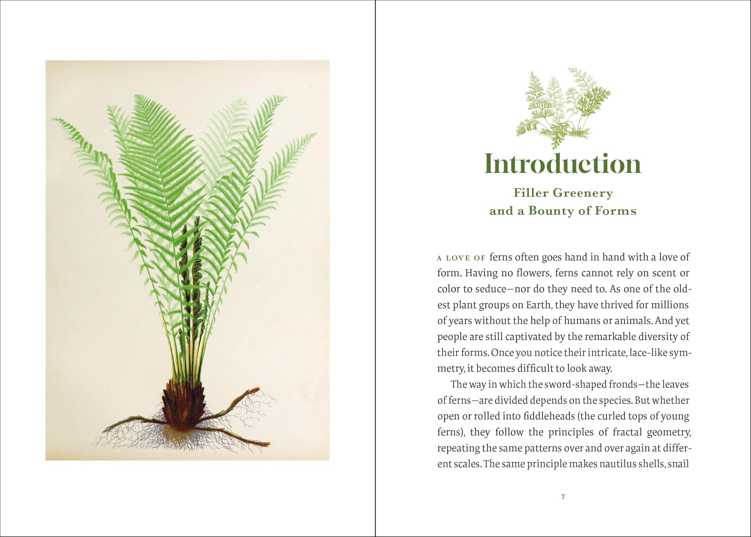 The Elegance of Ferns: Portrait of a Botanical Marvel (Marvels of Nature, 3)